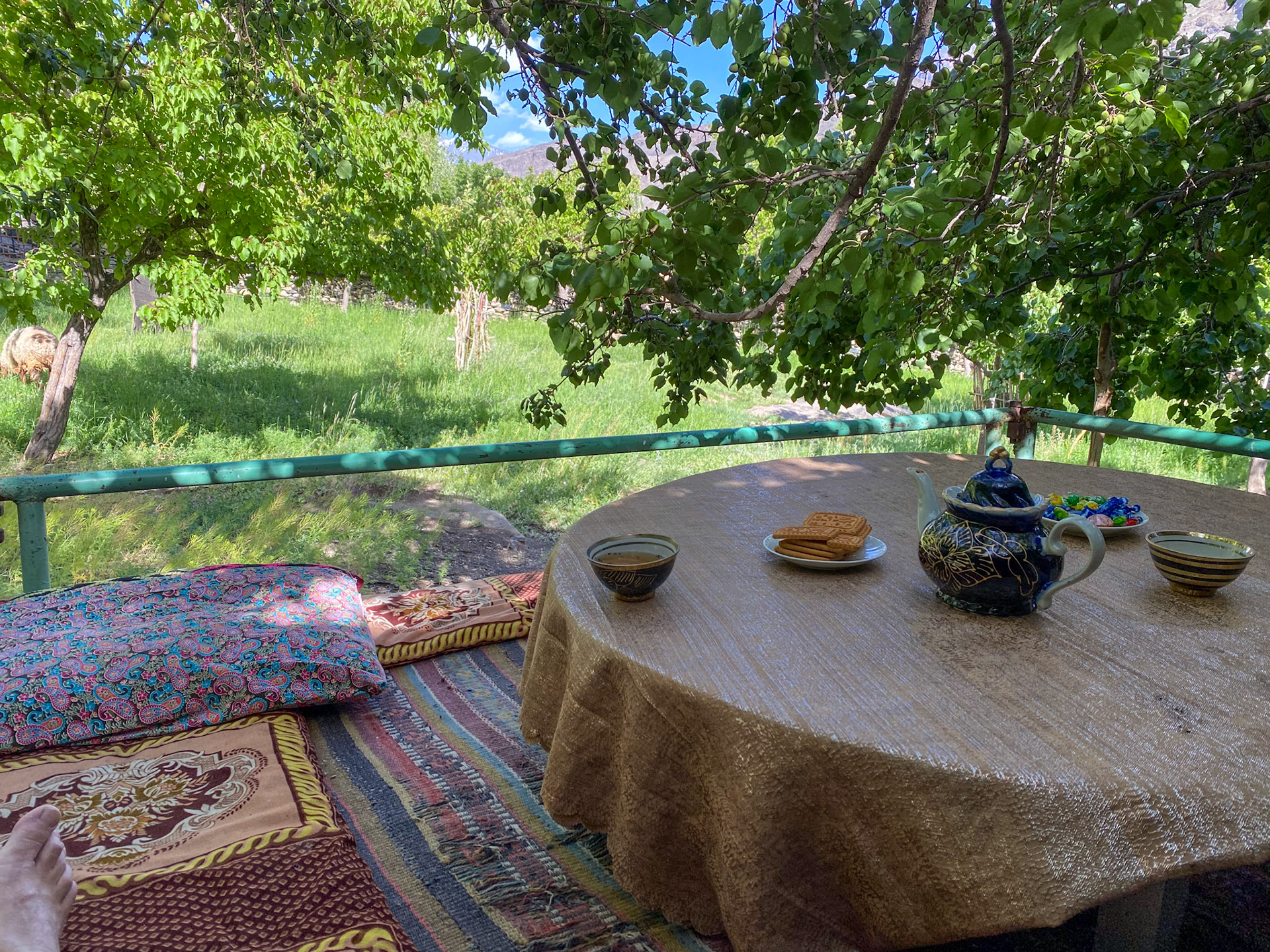 The raised platform table under an apricot tree. Perfect for eating/drinking but also for a nap afterwards 🙂