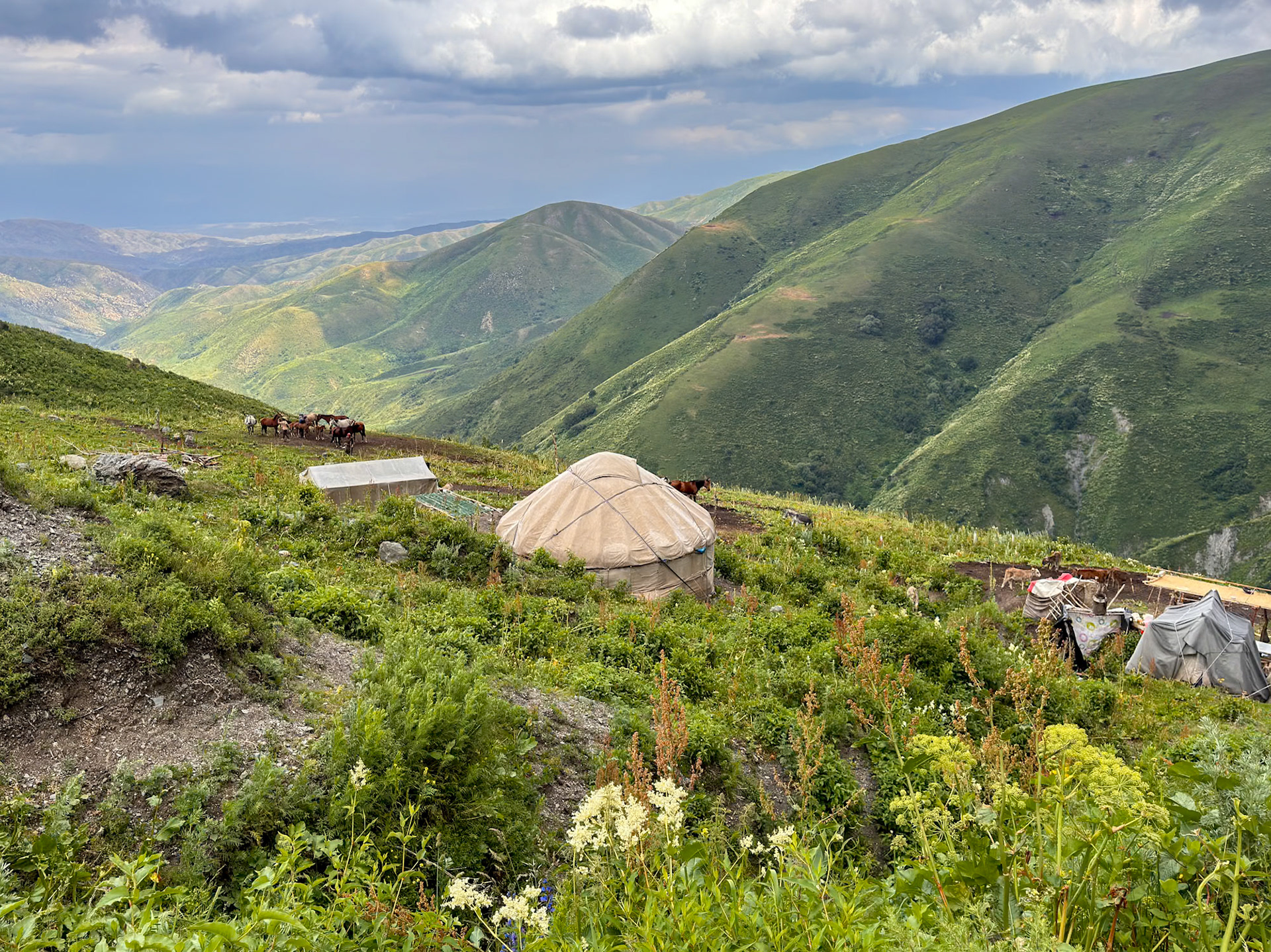 In the middle of nowhere, with no facilities of any kind, a family lives from a few horses