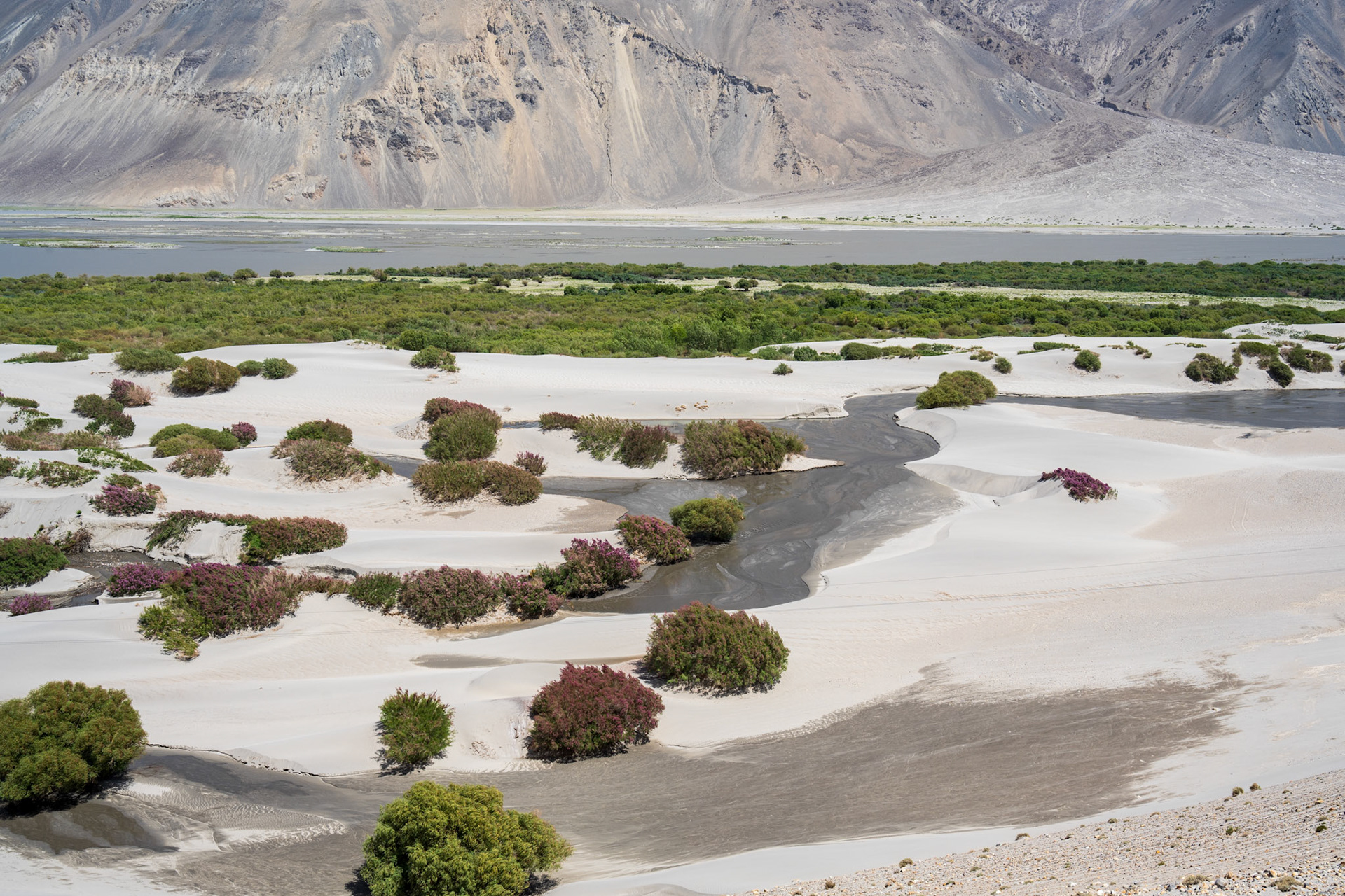 We had a bit of everything, including sand dunes