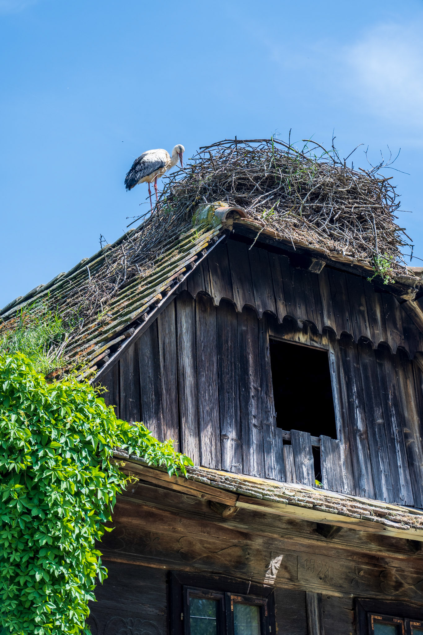 They love storks around here