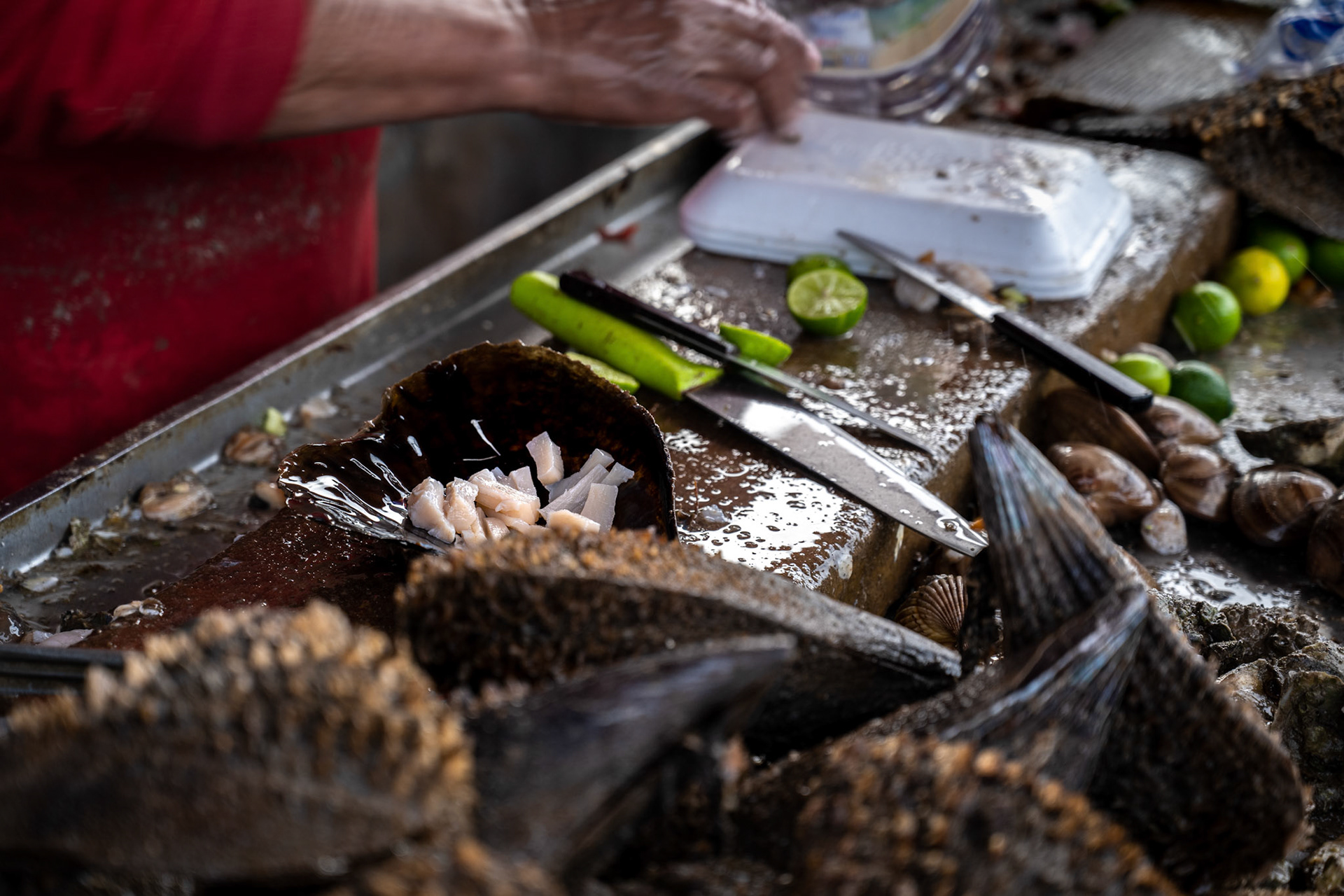 Callo-de-hacha (or Ax Callus). The minute I arrived in Bahia de Kino I had a great feeling about it. Far away from tourist towns, we are in the real Mexico now. It’s Sunday and people congregate in small groups and the average folk appear cheerful. The food is out of this world.