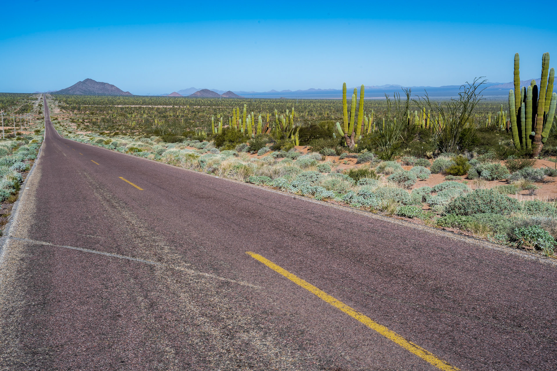 Leaving Kino, we tackled that road so full of potholes that the cars are swerving like drunk sailors. Good thing that there are so few of them. Then straight roads surrounded by cacti.