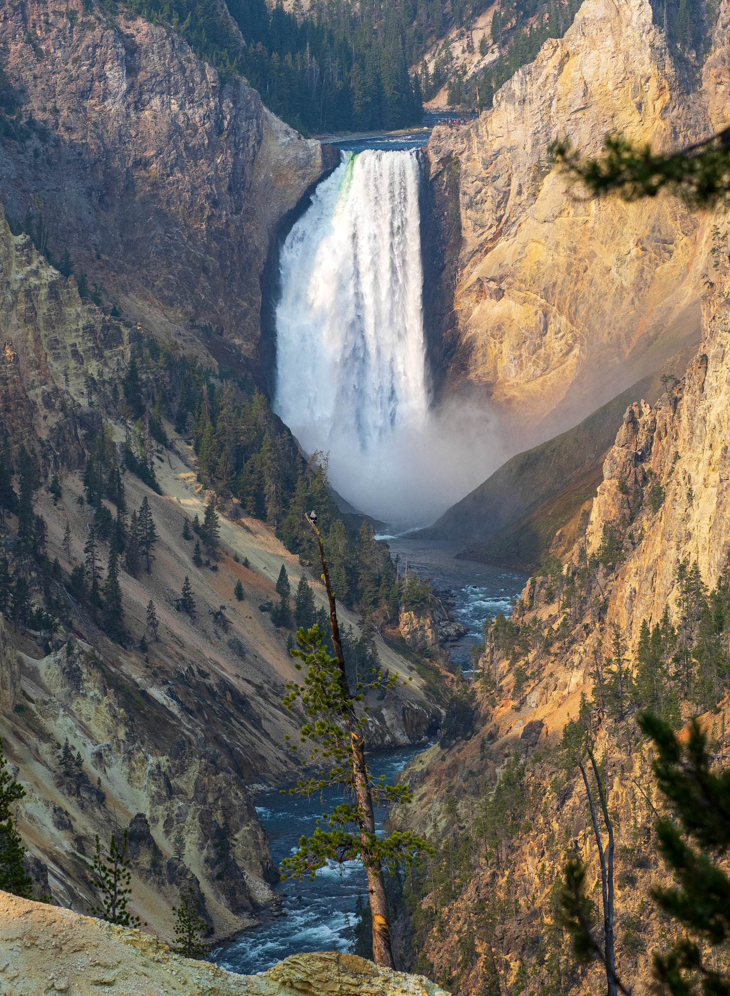 Yellowstone Falls - 308 feet (94 m) high! Check the size of the people on the top right of the falls