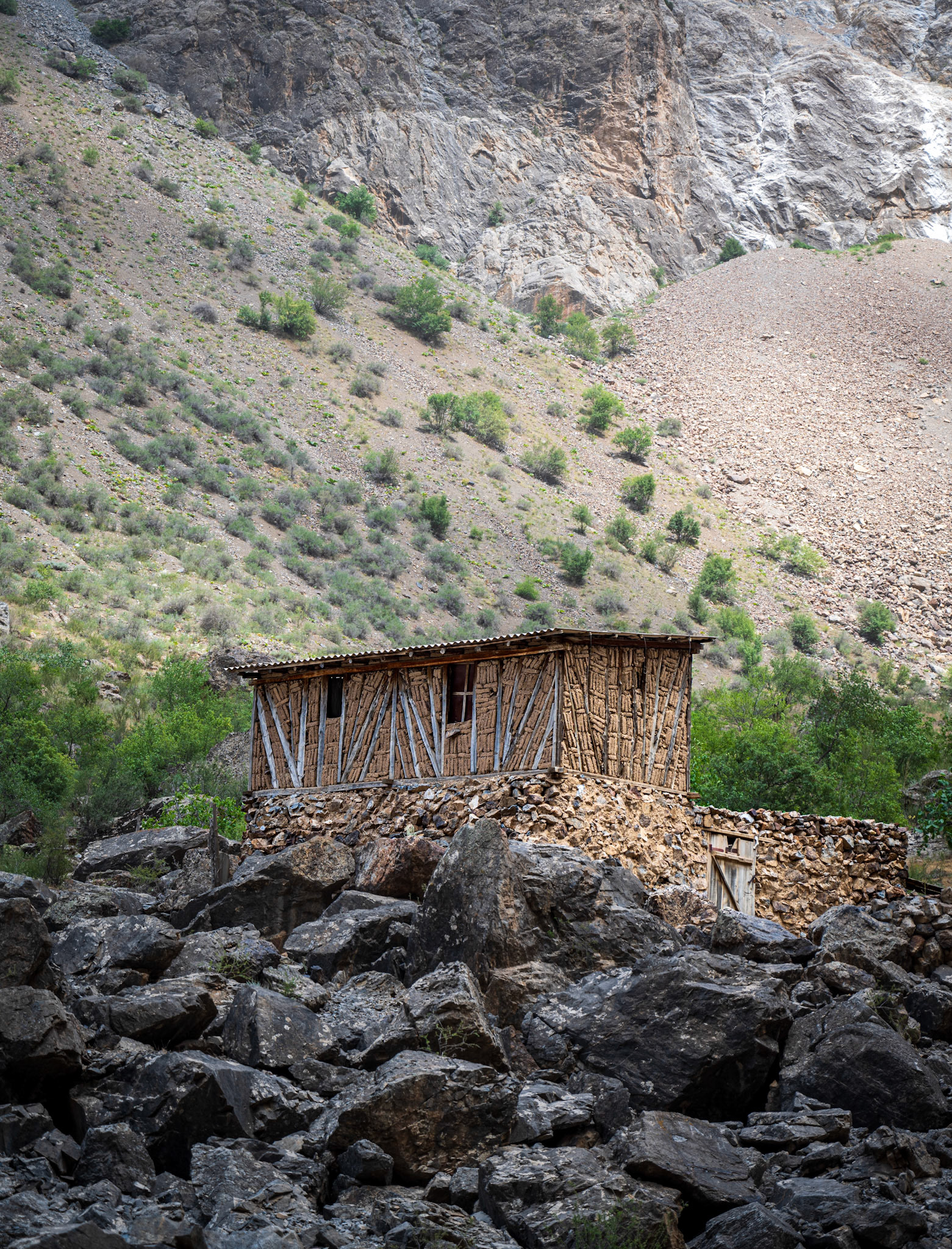 Organic construction
