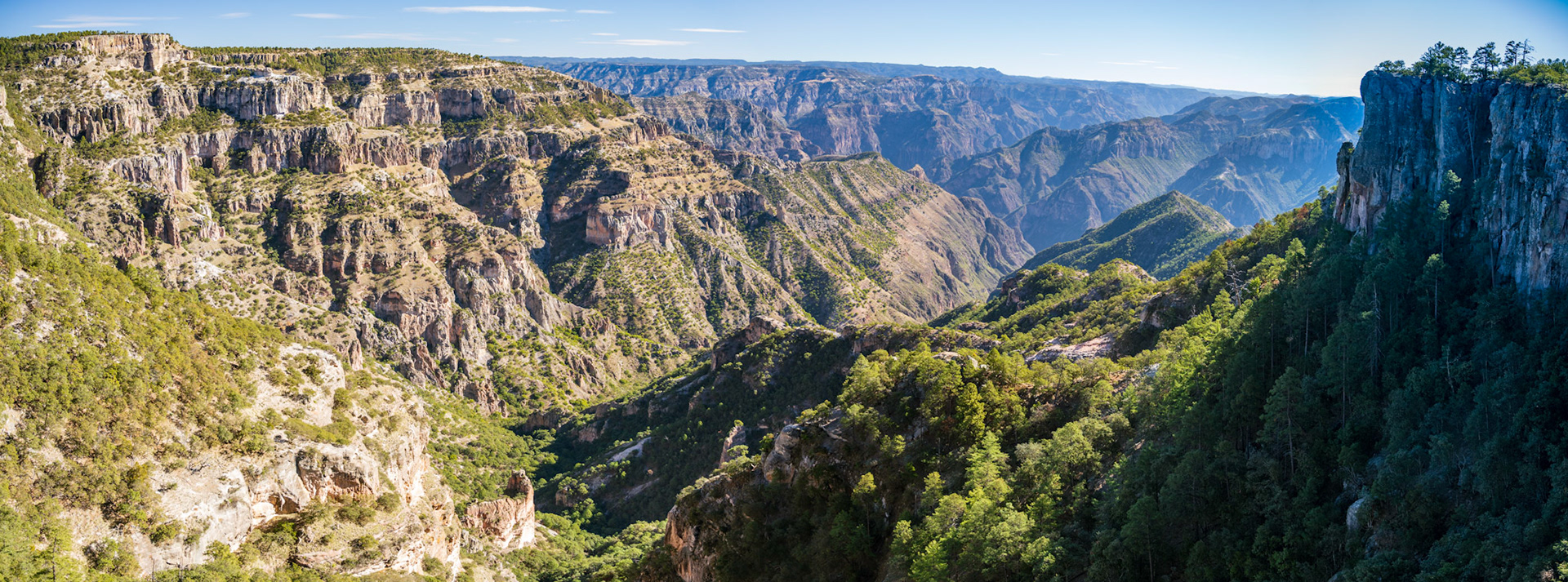 The name Copper Canyon comes from the reddish, copper-like color of the canyon walls, although I did not really see that from our view points.