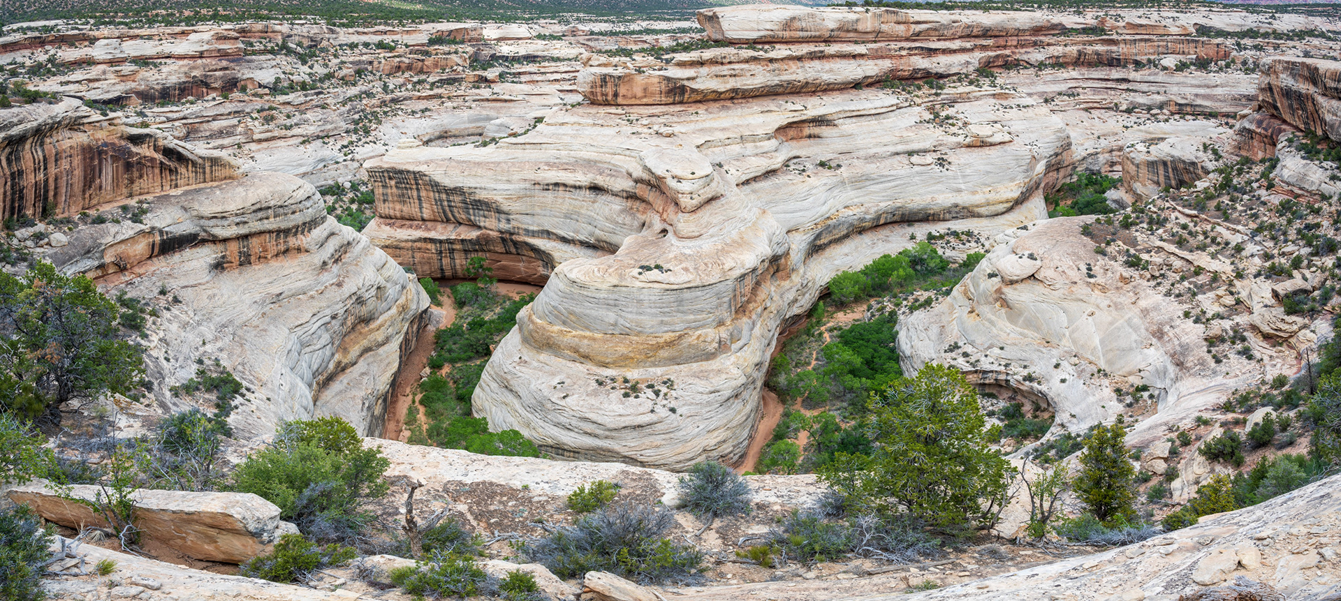 Natural Bridges National Monument