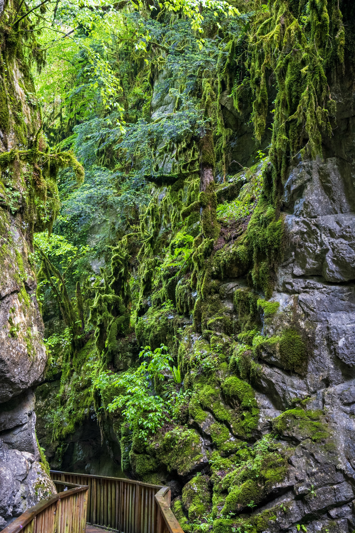 Horma Canyon