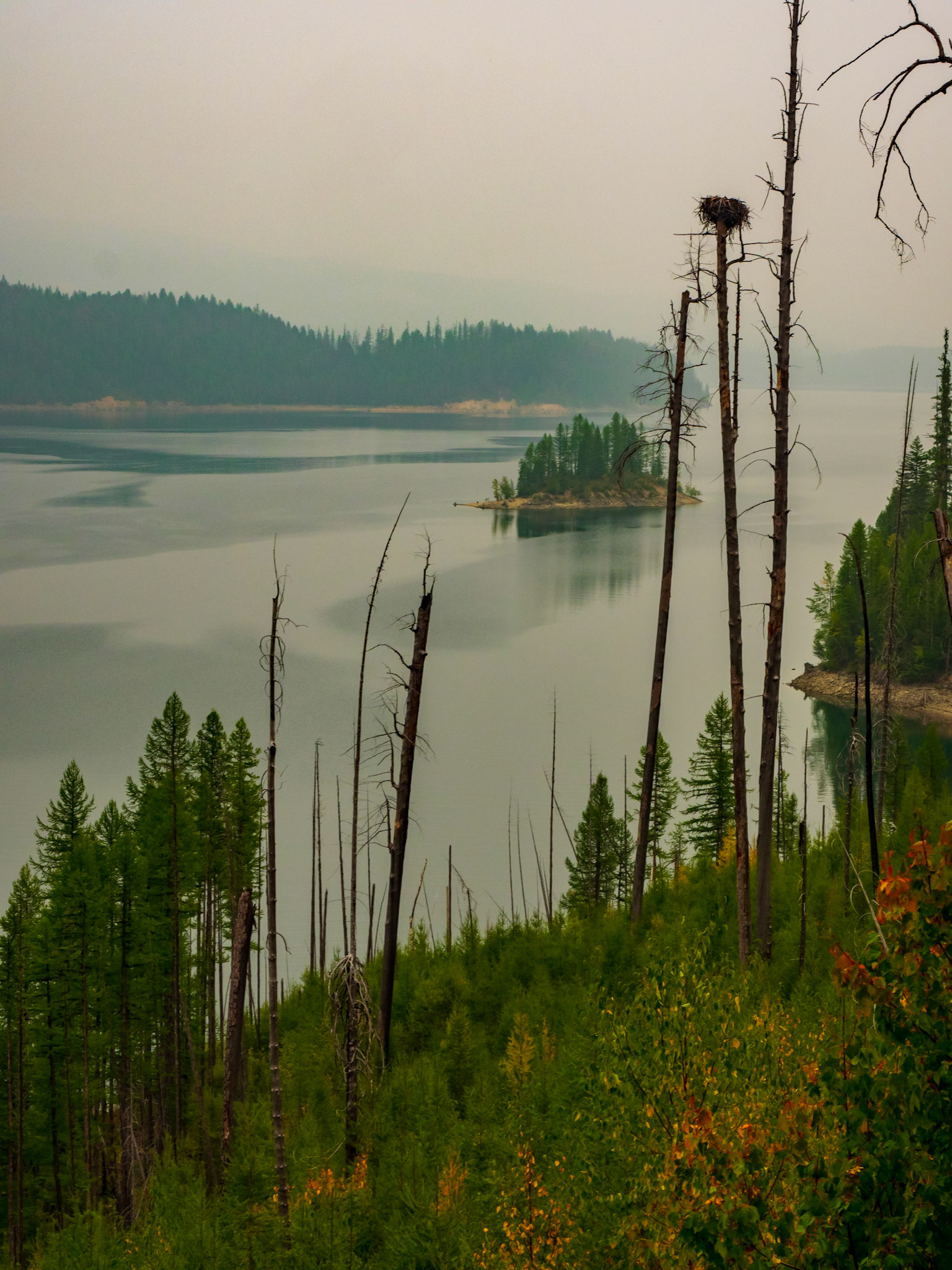 At the gates of Glacier Park but what’s the point in getting in with all that smoke? Change of plans!