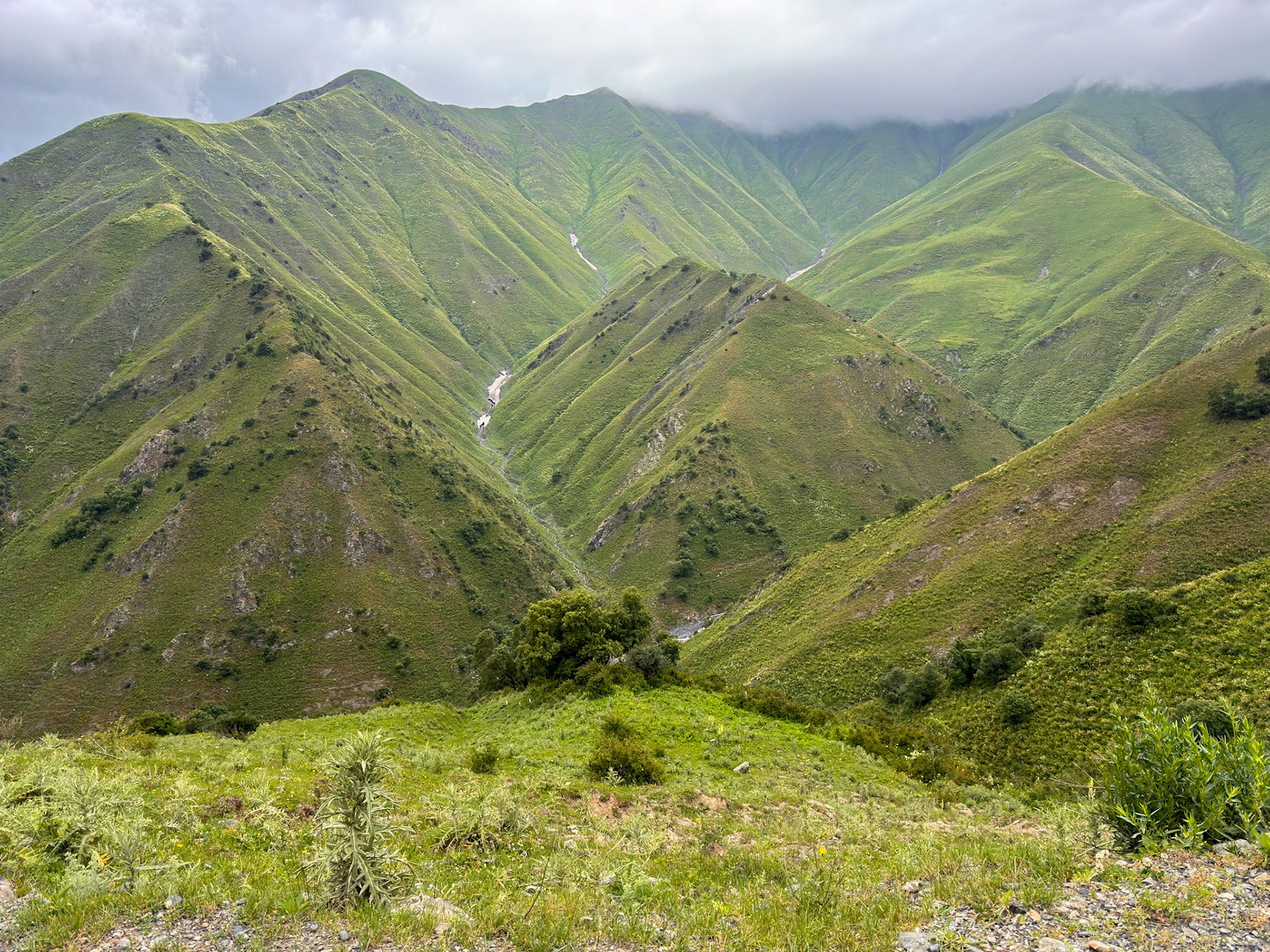 Beautiful scenery as long as we stayed below the clouds