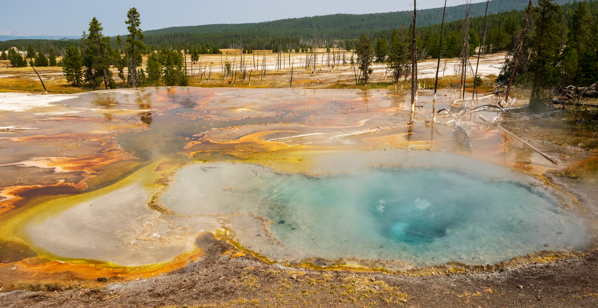 Welcome to Yellowstone and its incredible colors!