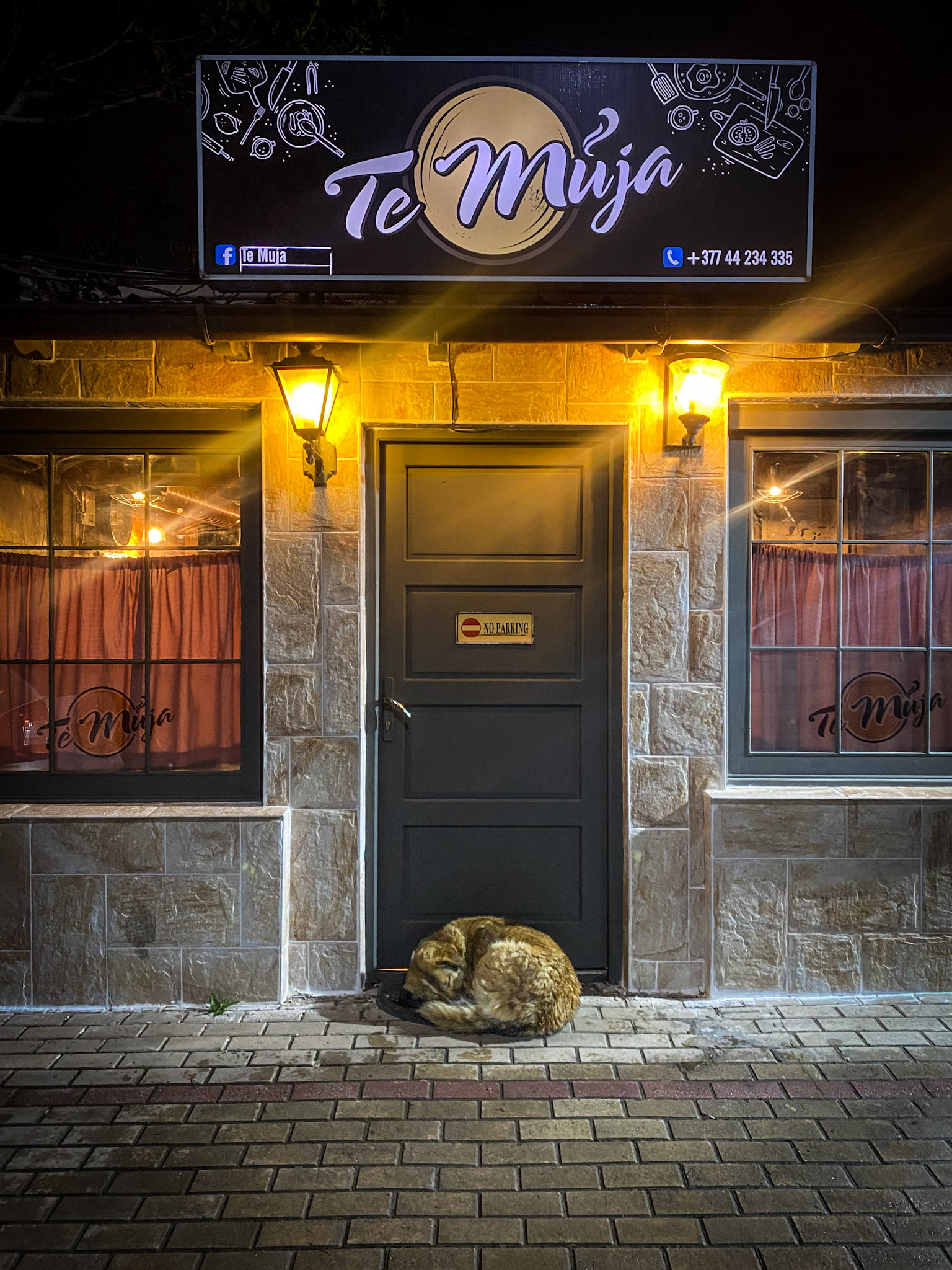 Every night this dog lies in front of this restaurant’s door and we, like all the other guests, had to step over the dog to get in and out 😄