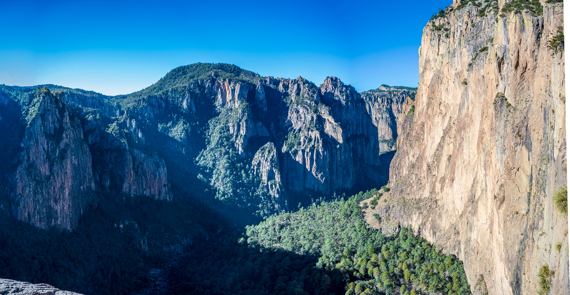 The Cascada de Basaseachi is the second tallest waterfall in Mexico with a height of 246 meters (853 ft)!