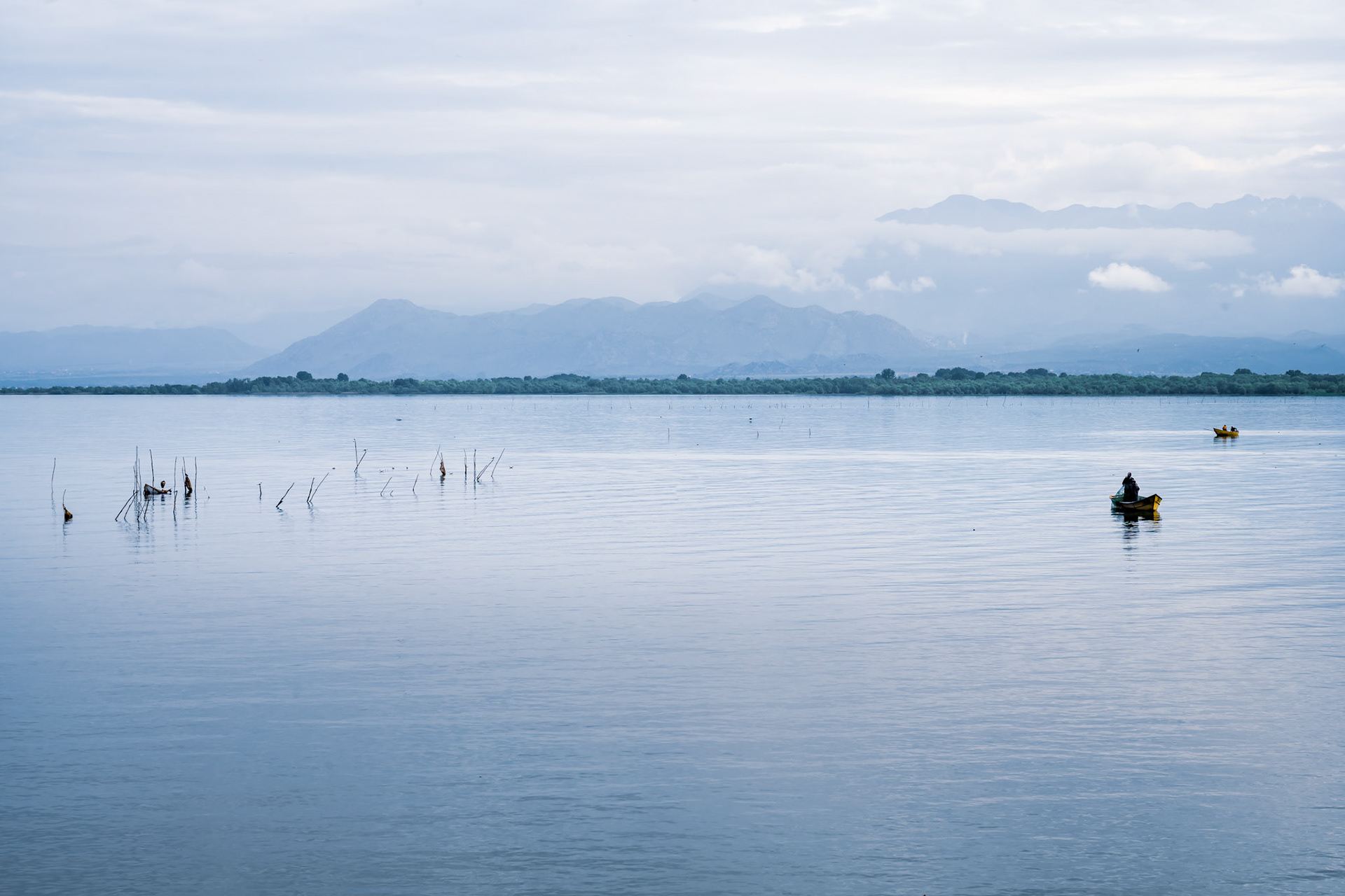 Peaceful morning on Lake Skadar