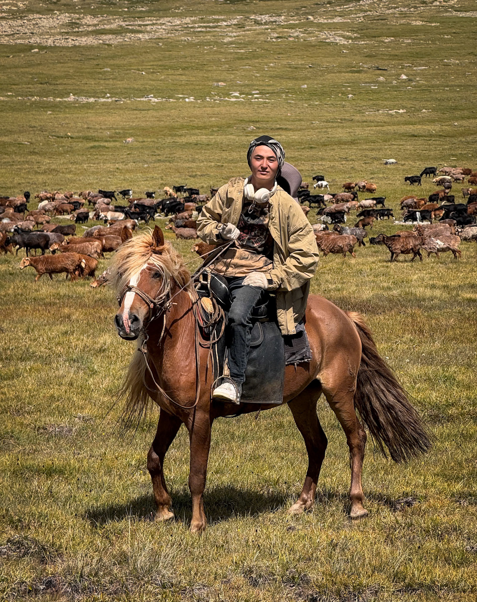 The shepherd came back to check on us