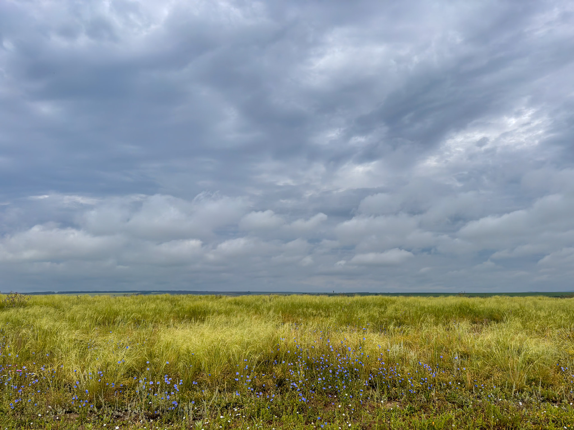 Goodbye to the vastness of the Kazakh landscape