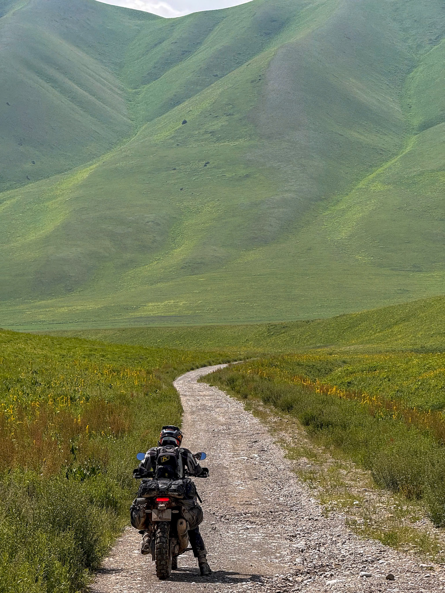 I absolutely loved the feeling of riding through this section!