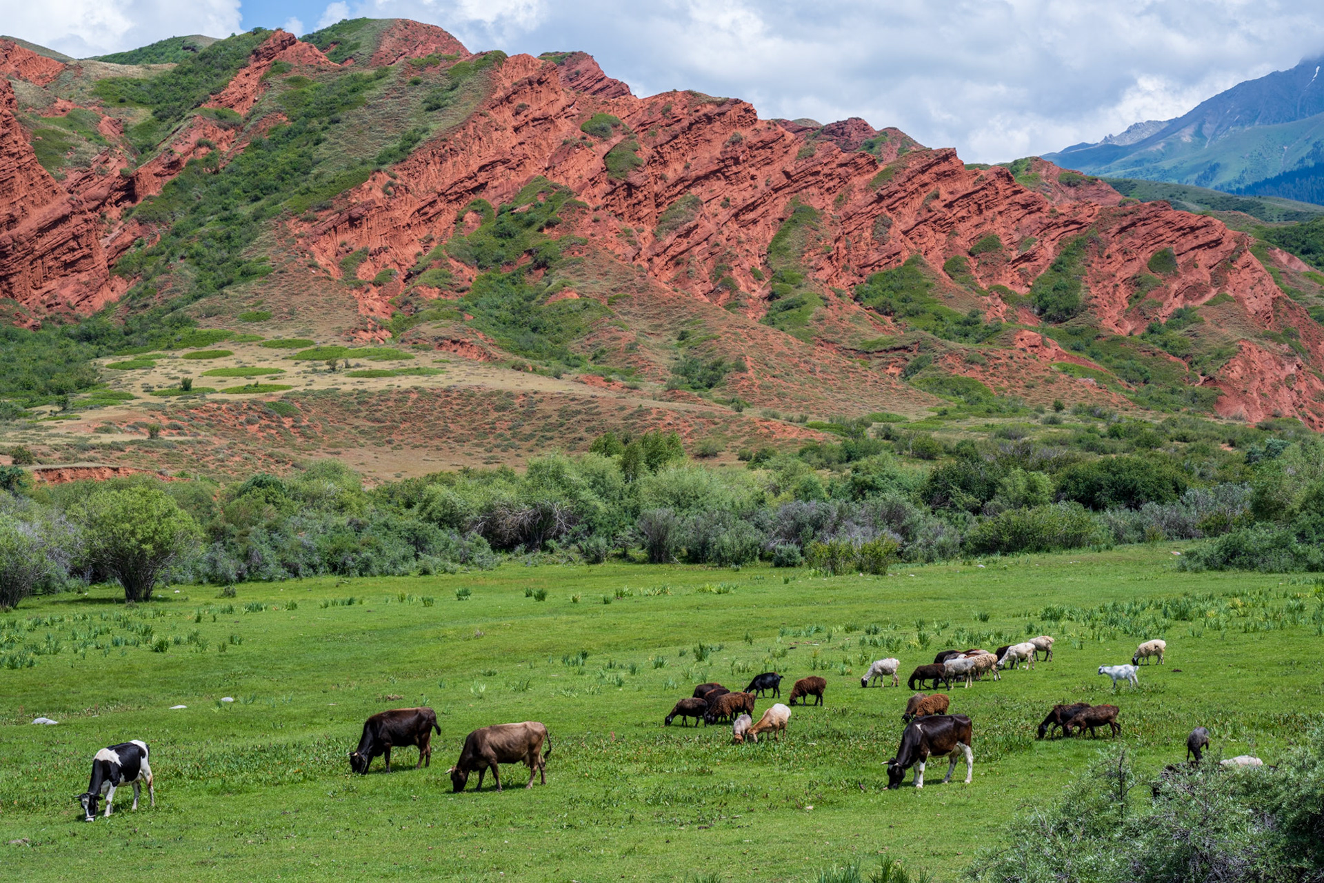 One of the canyons we explored had those beautiful red cliffs