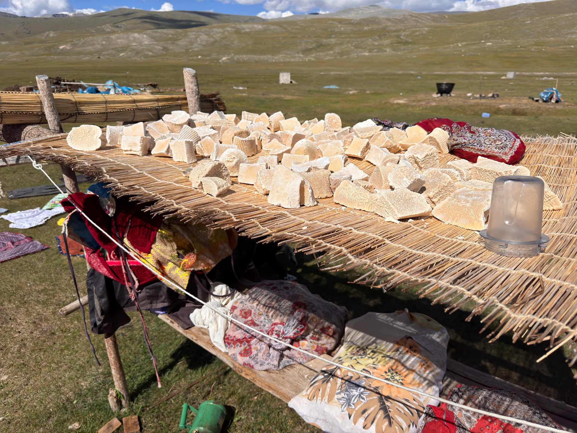 Drying the "aruul," a sun-dried curdled milk cheese