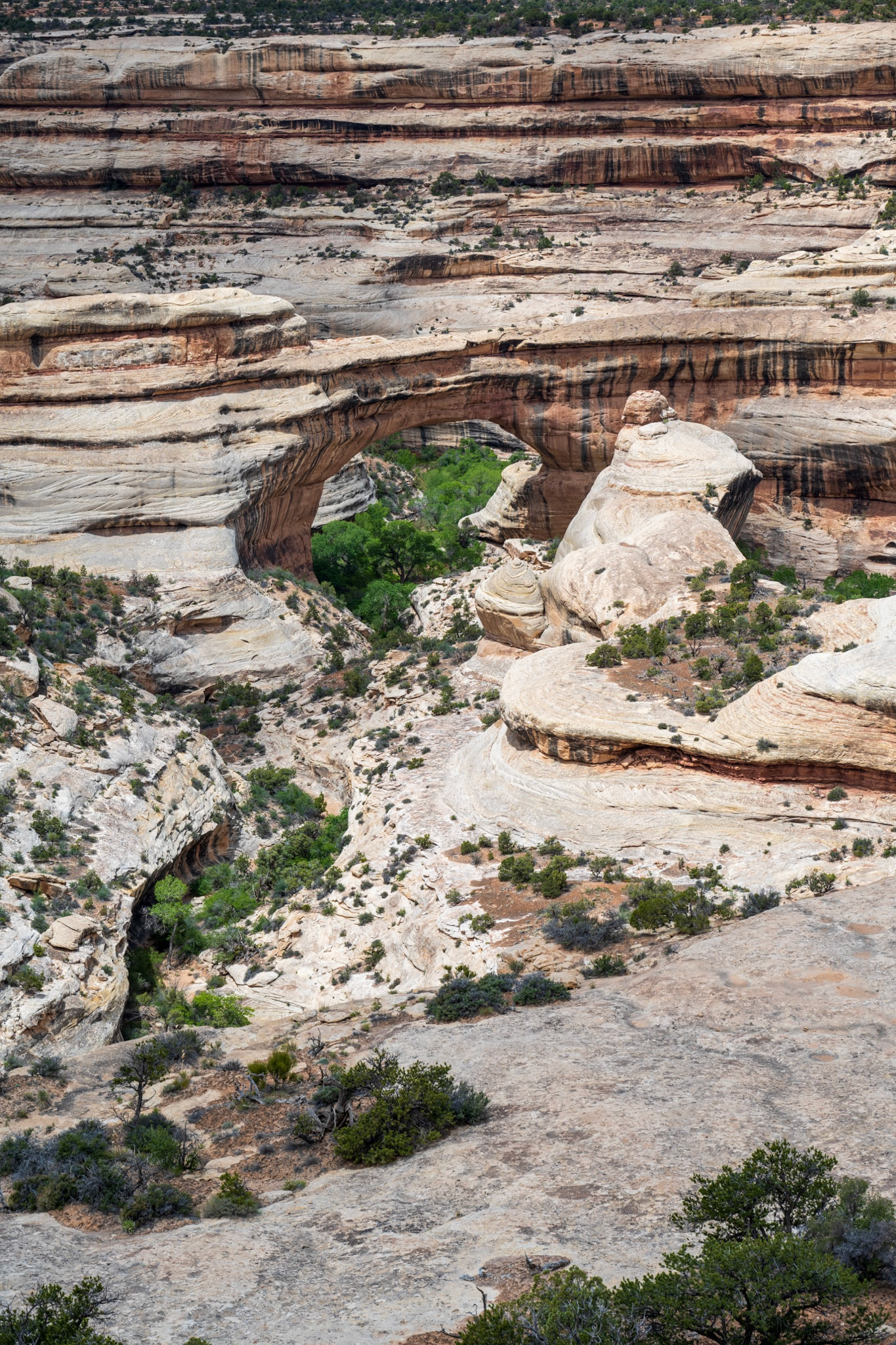 Natural Bridges National Monument