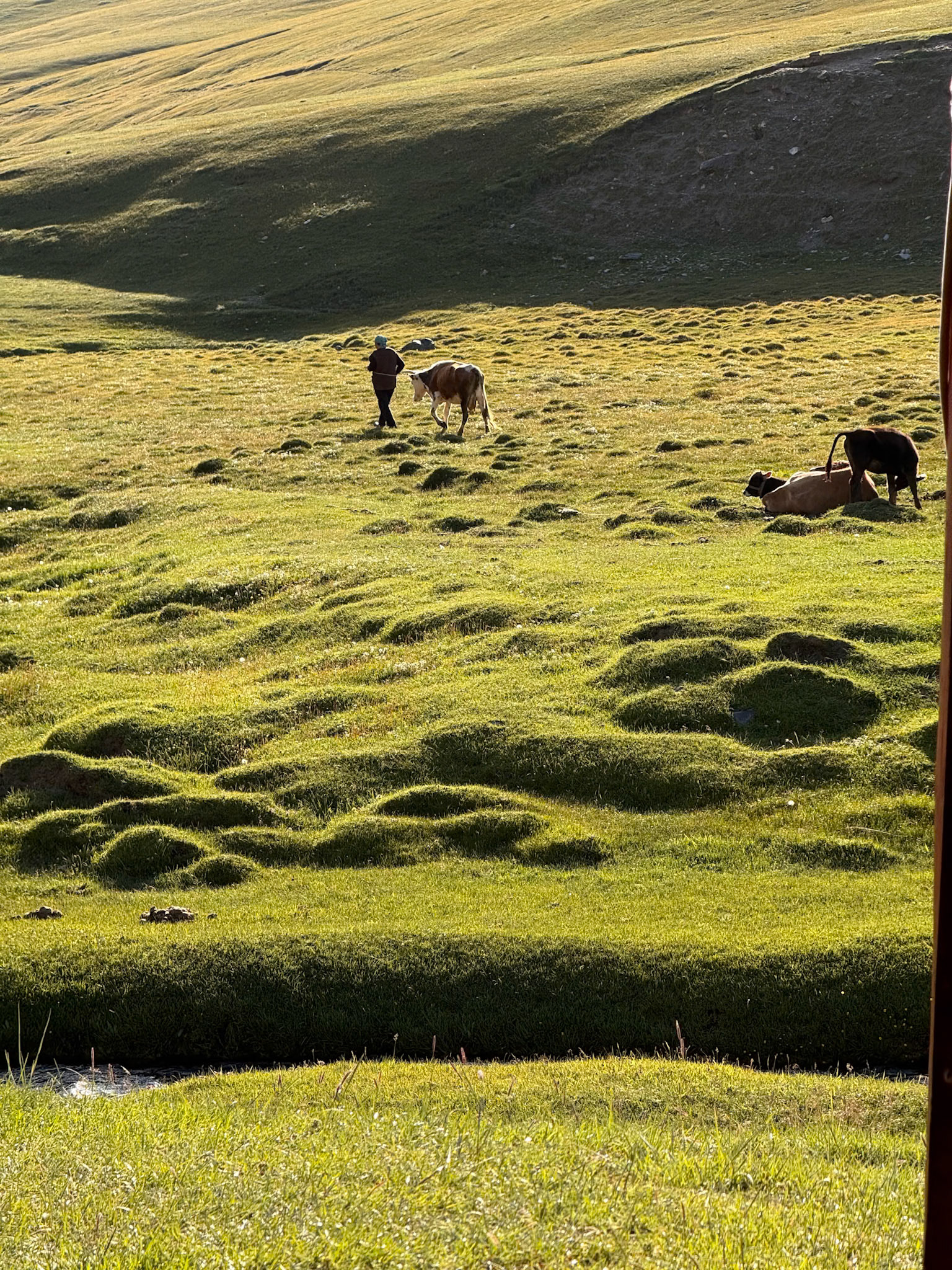 As we enjoyed breakfast, we could see through the door the mother who had already left to tend to the cattle