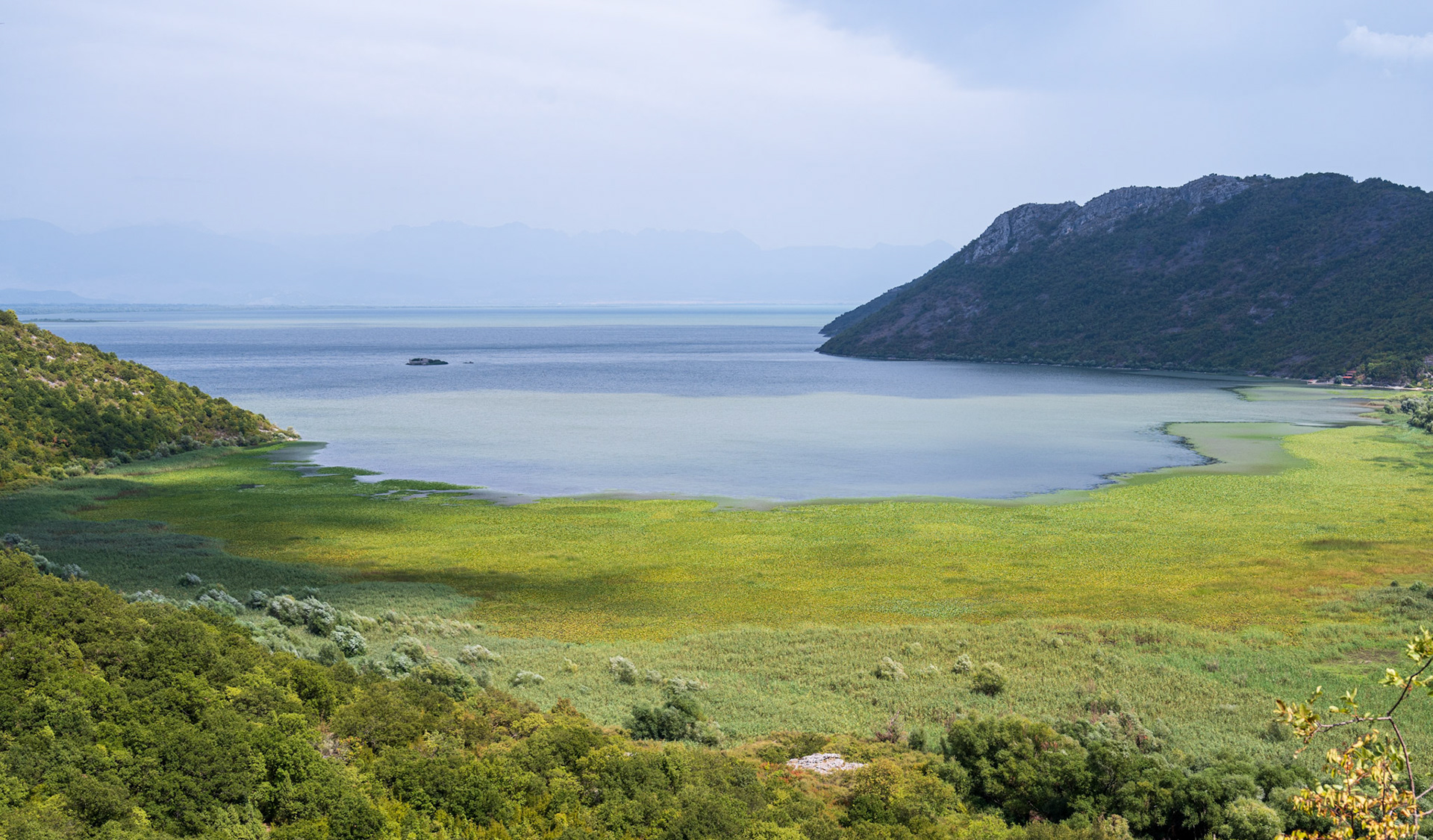 View on Shkodra Lake