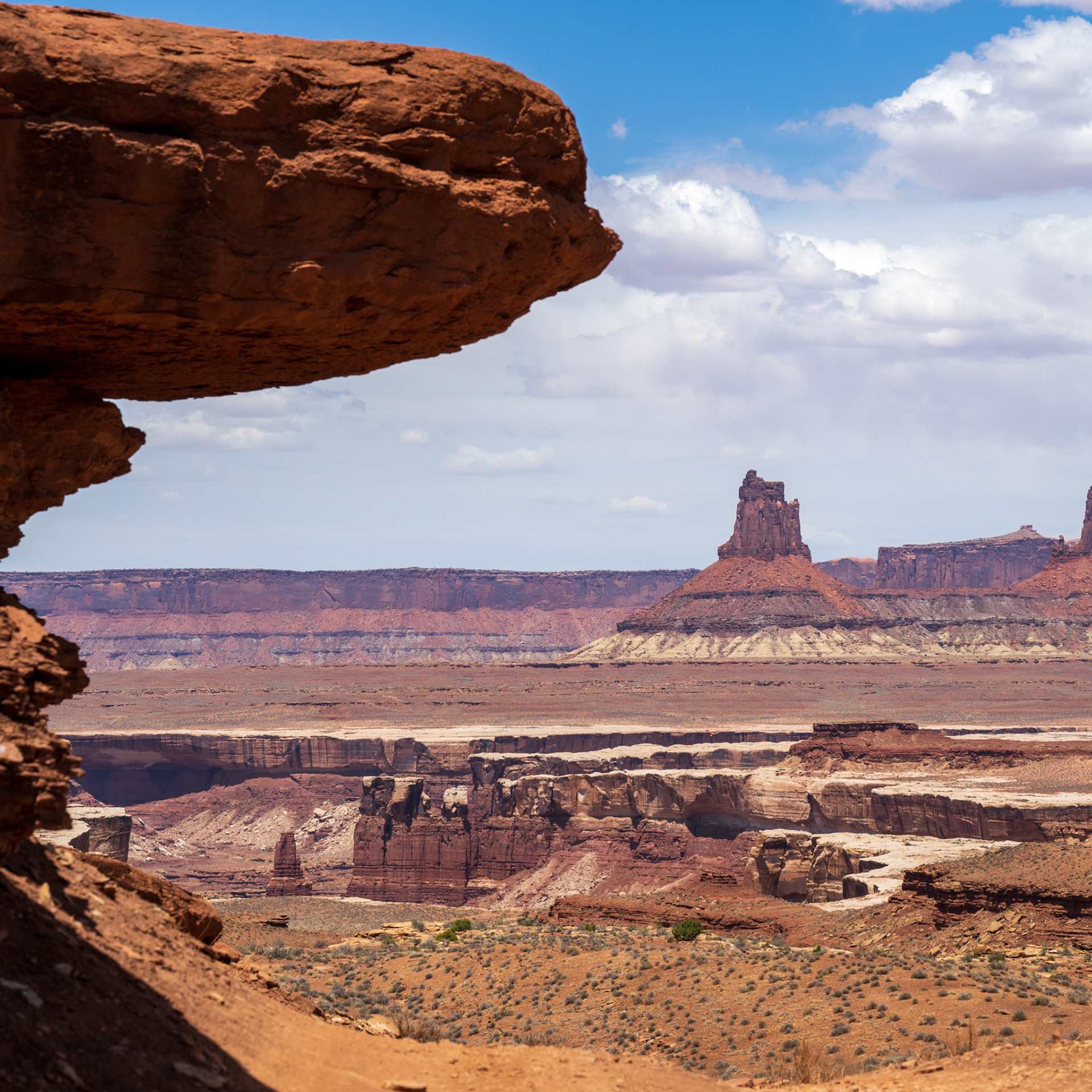 White Rim Trail