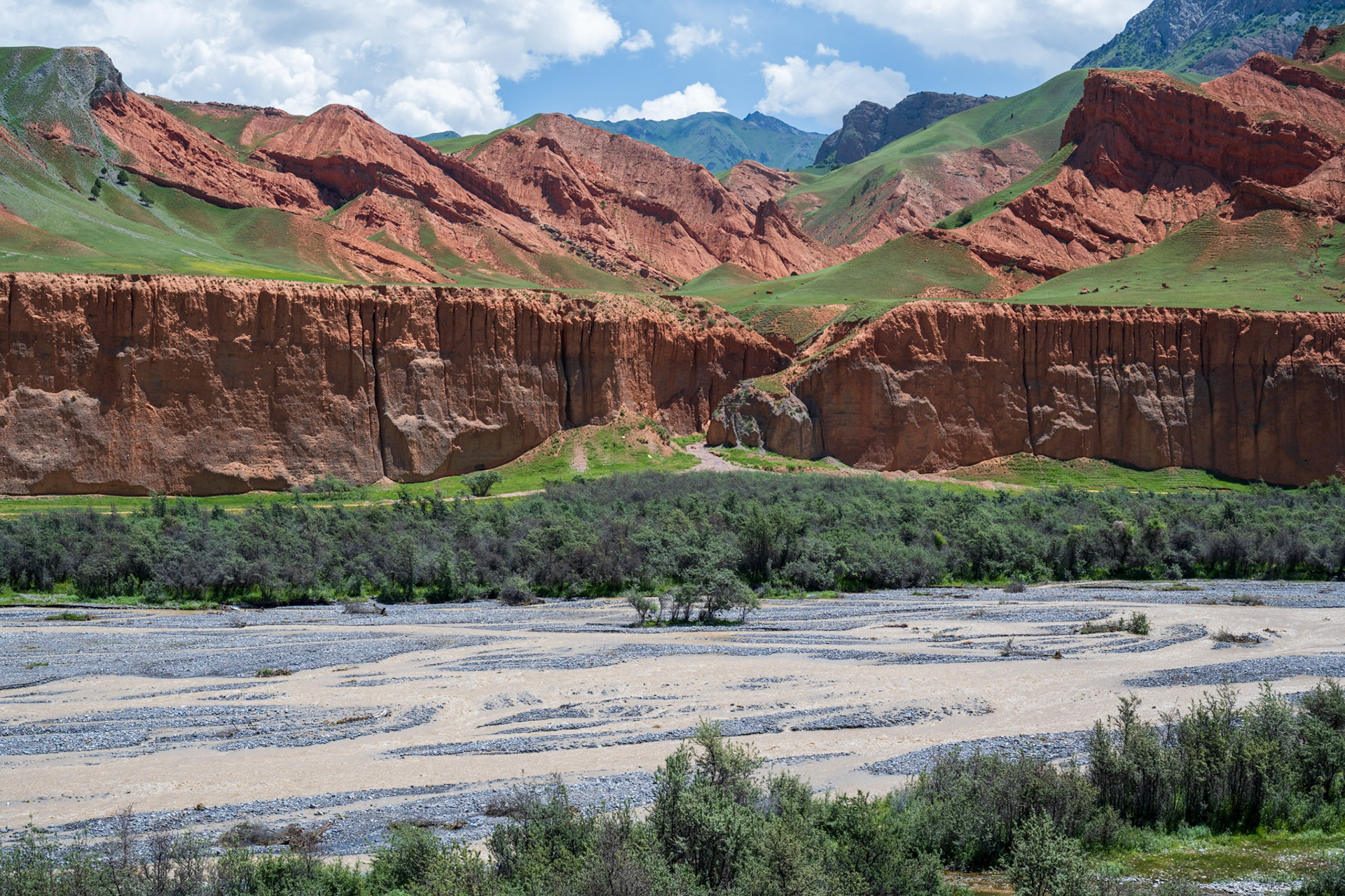 Love the contrast of the red cliffs with the bright green
