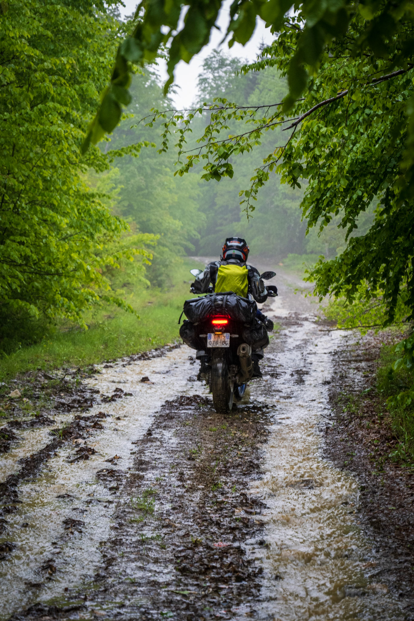 Heavy rain starting to mess up the trails seriously. It was so slippery 😬