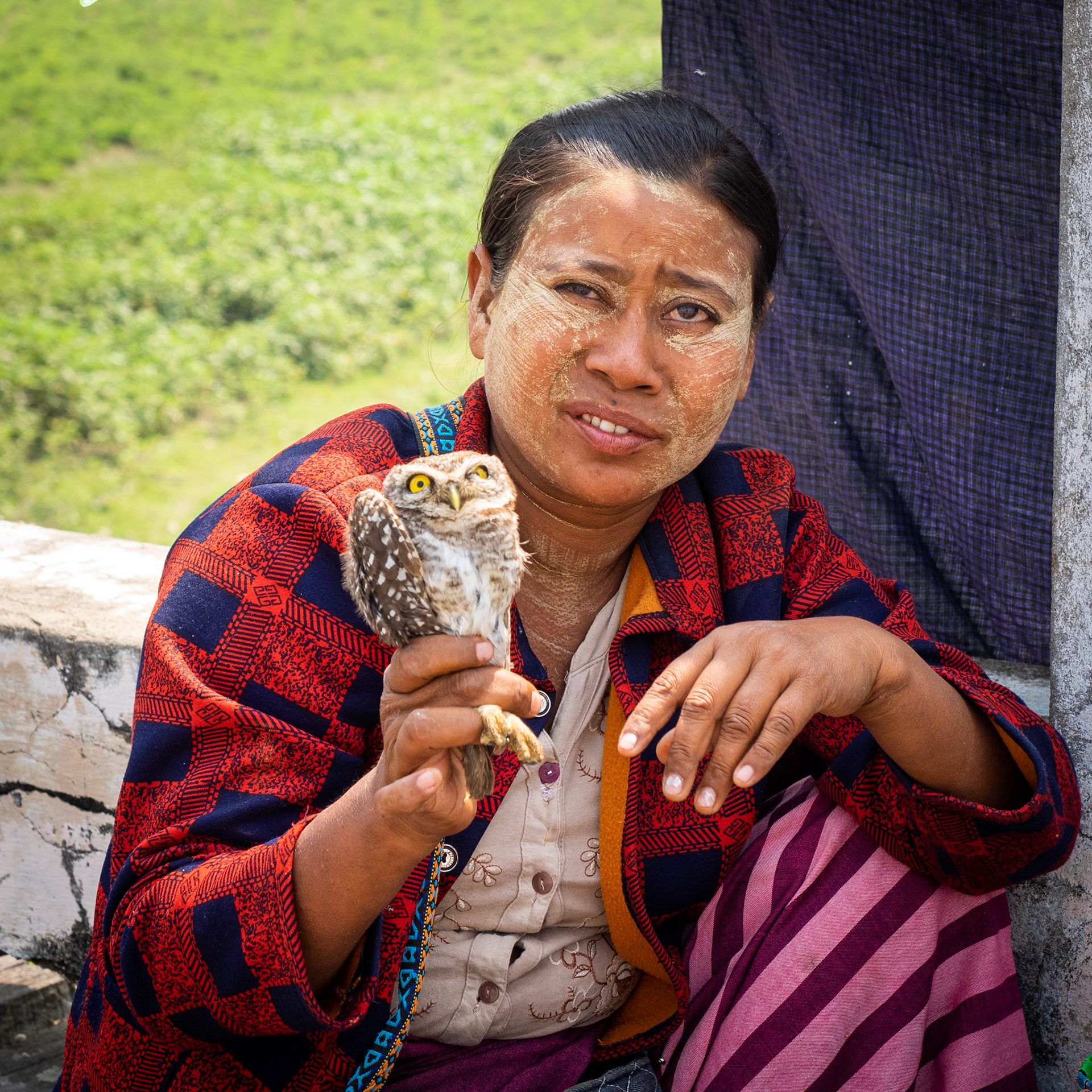 A somewhat “cruel” custom for our westerners minds: people capture birds and you can pay to free them to gain merit in the afterlife (Buddhist belief)