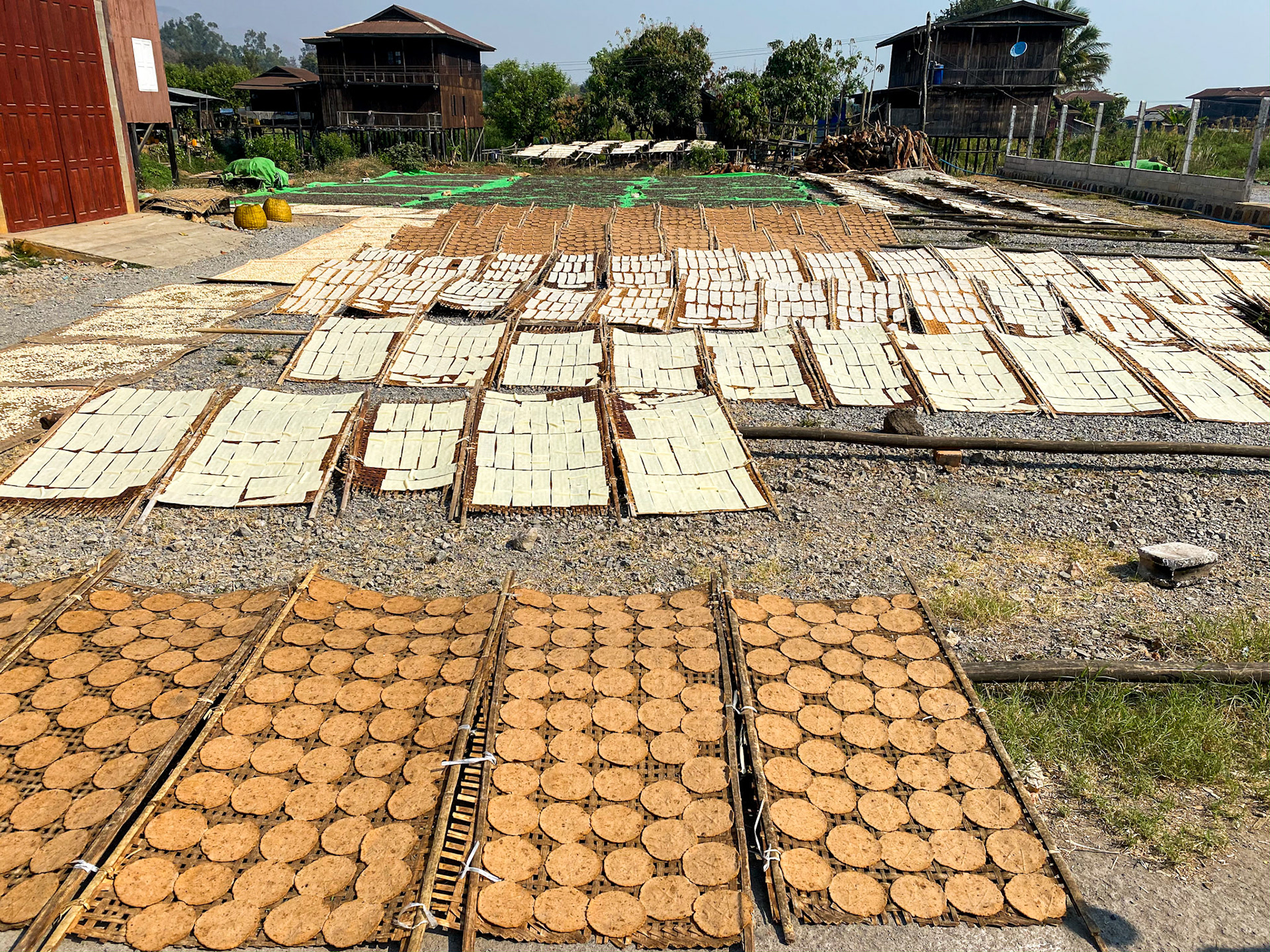 Kaung Daing. This village was literally covered in these drying bamboo mats, covered by seeds, and other non identifiable stuff.