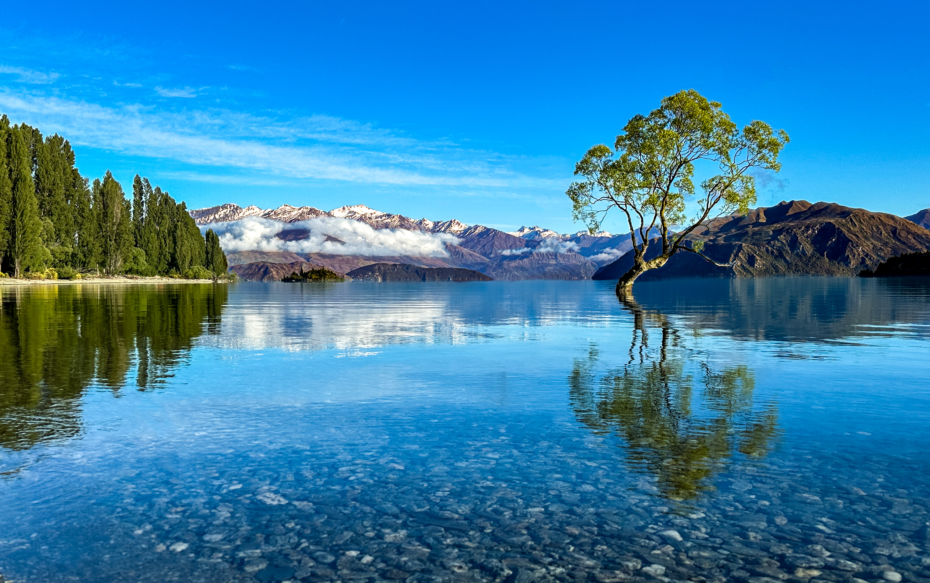 Print on metal - 2022 - That Wanaka Tree - Wanaka, New Zealand