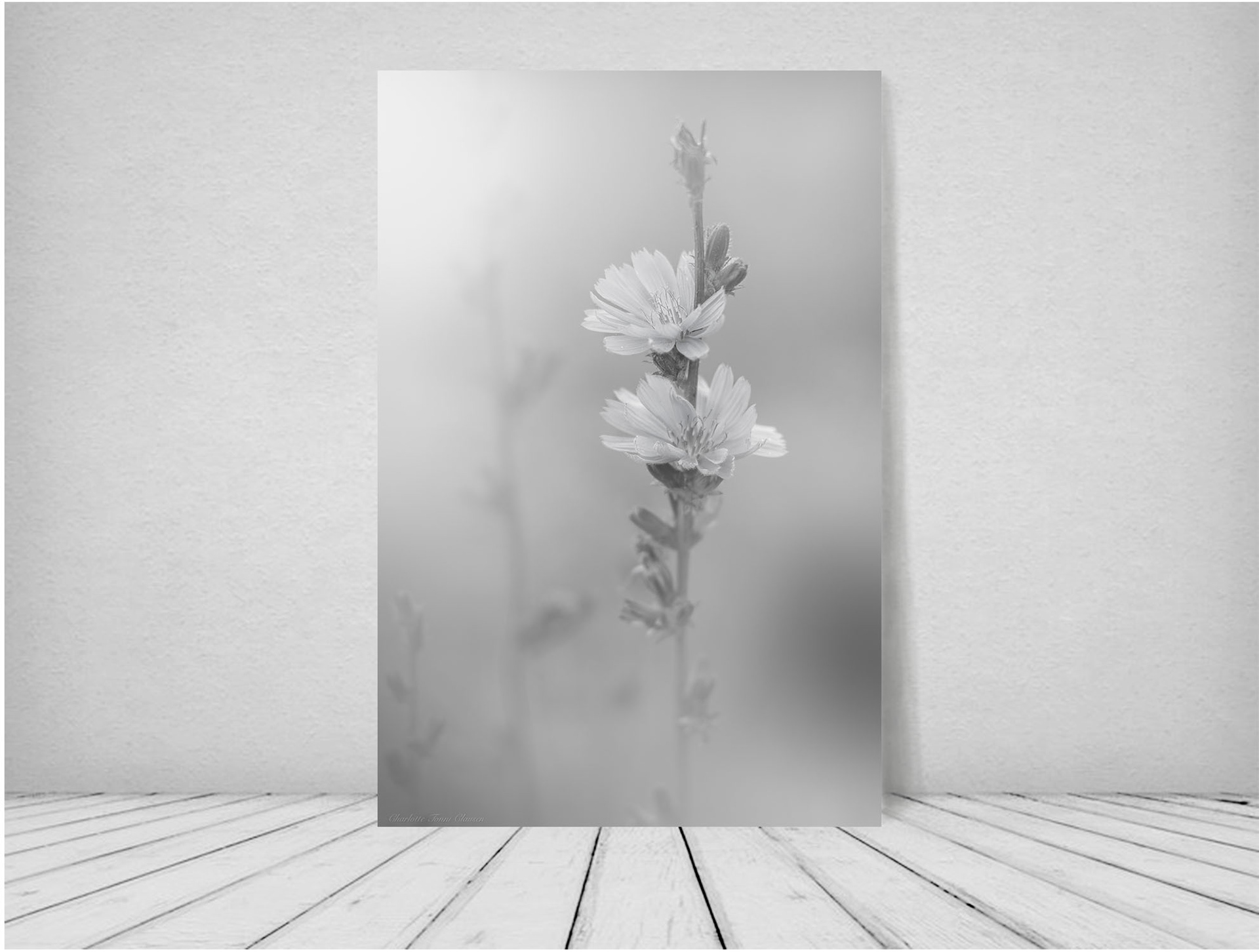 Fine Art Giclée Glas Print