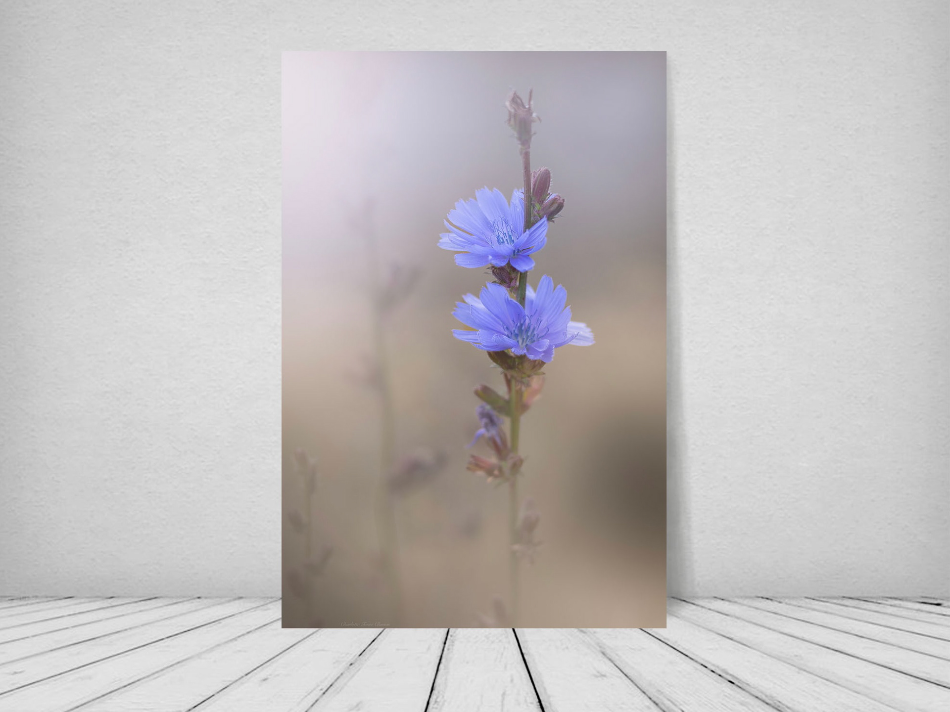 Fine Art Giclée Glas Print