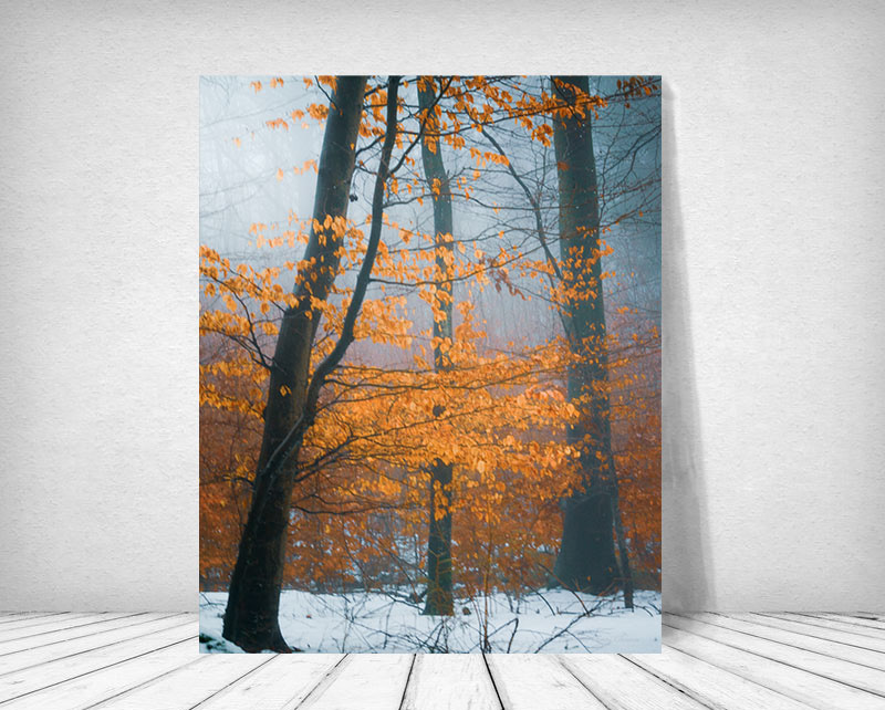 Fine Art Giclée Glas Print