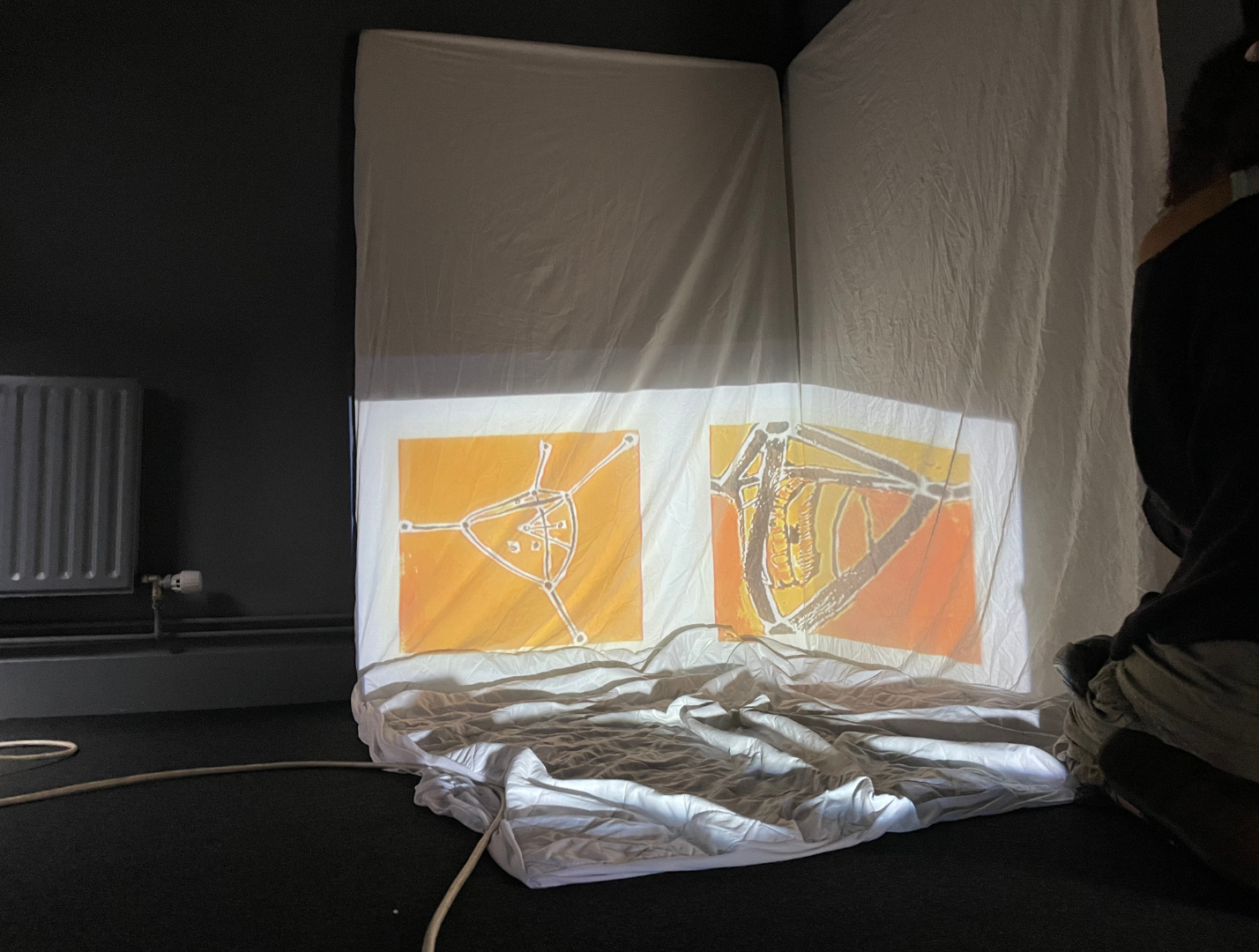 Projection experimental set up (3)
