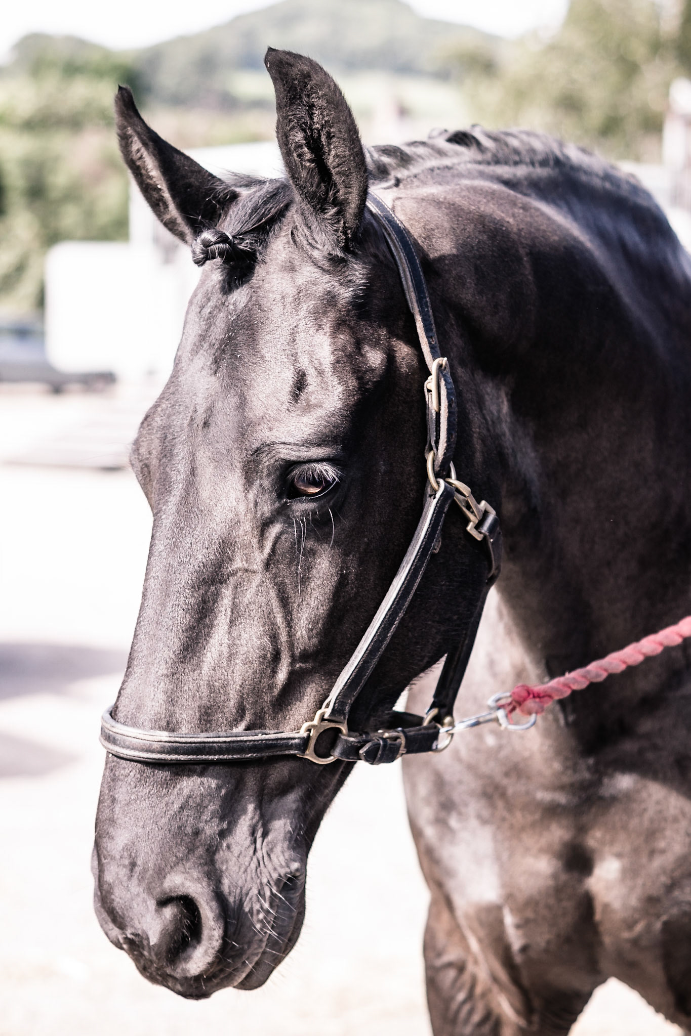 Kasper listening to Alex's pep talk