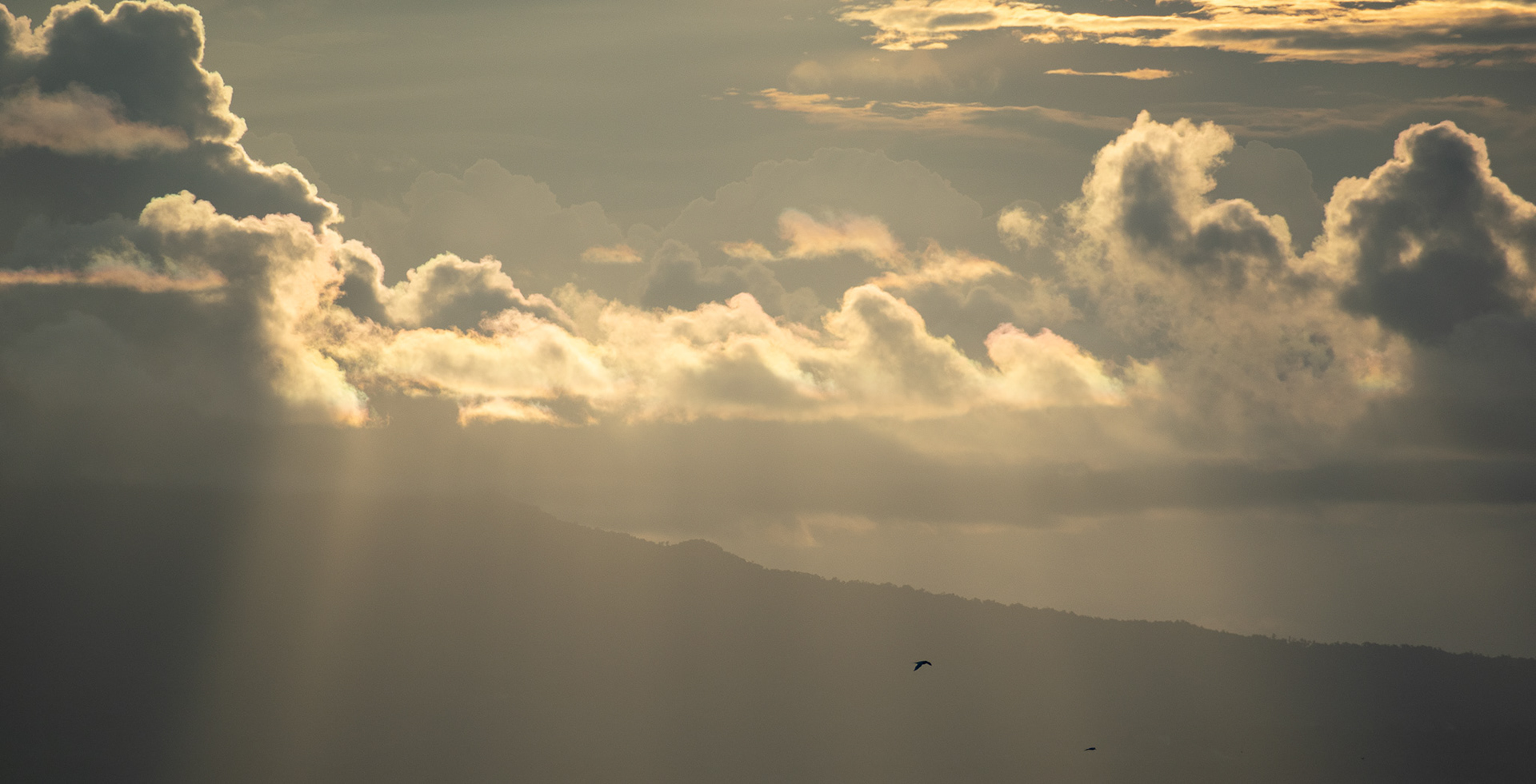Dancing in the Sunset #8