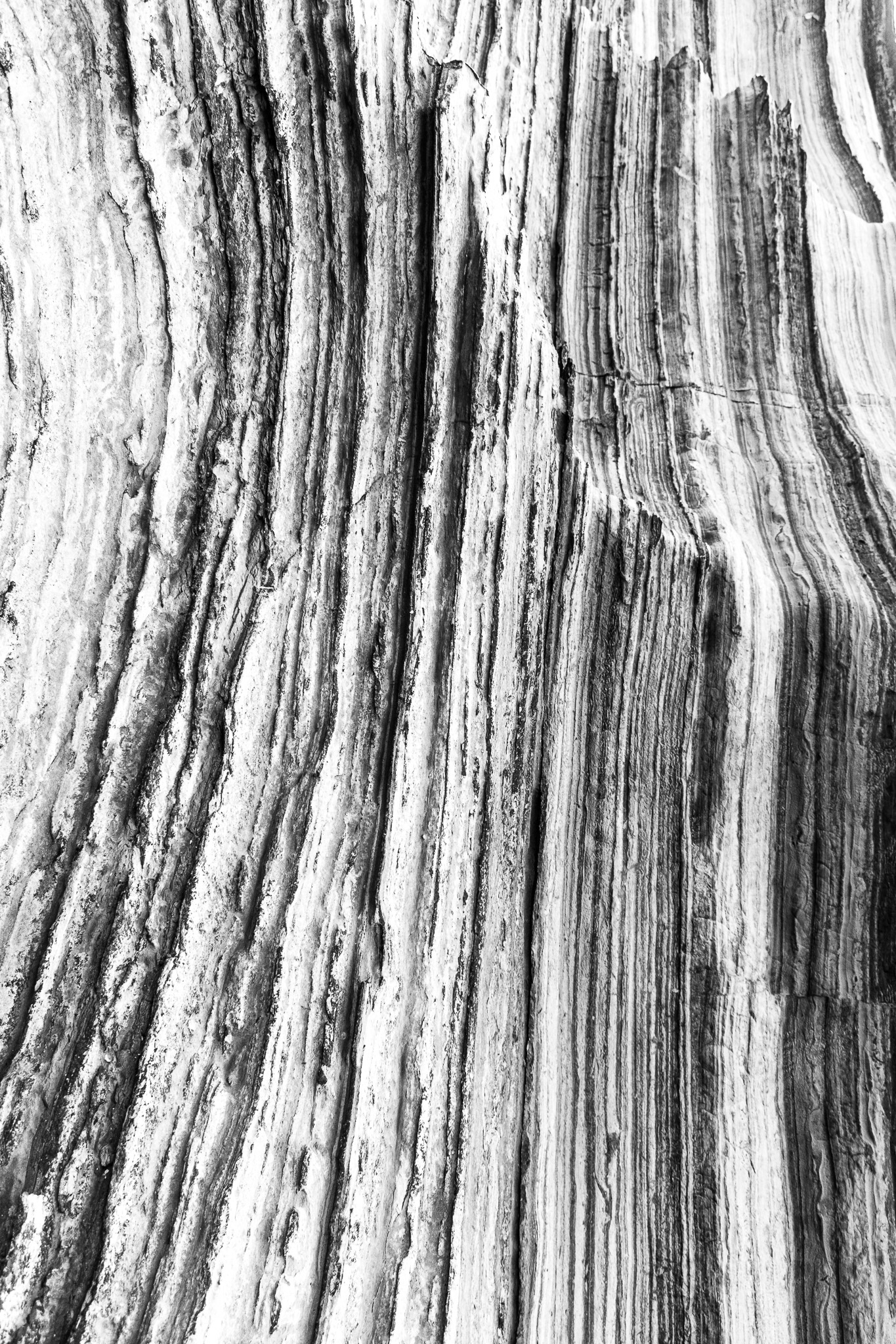 Degrees of Abstraction #2