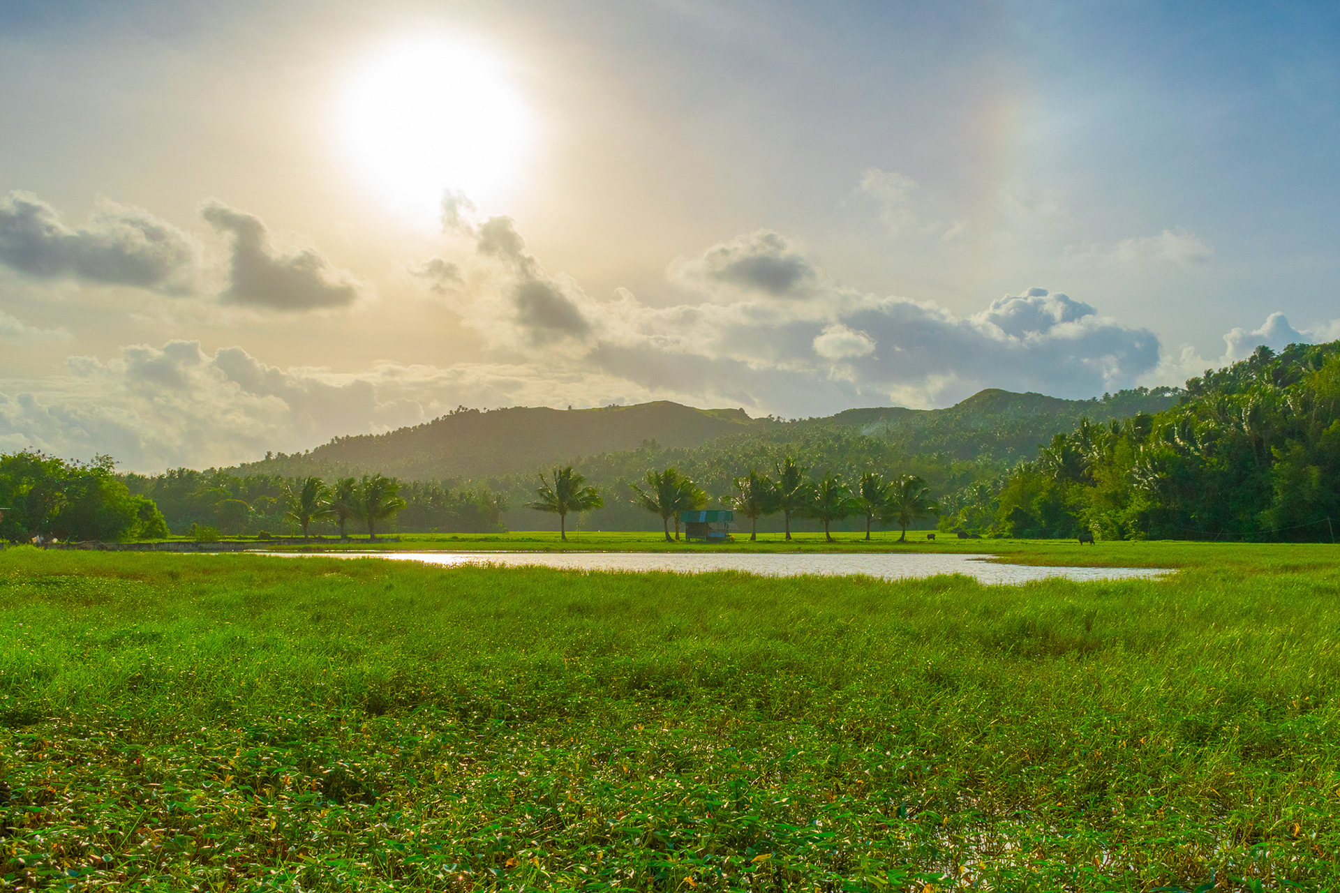 Buhay sa Probinsya #1