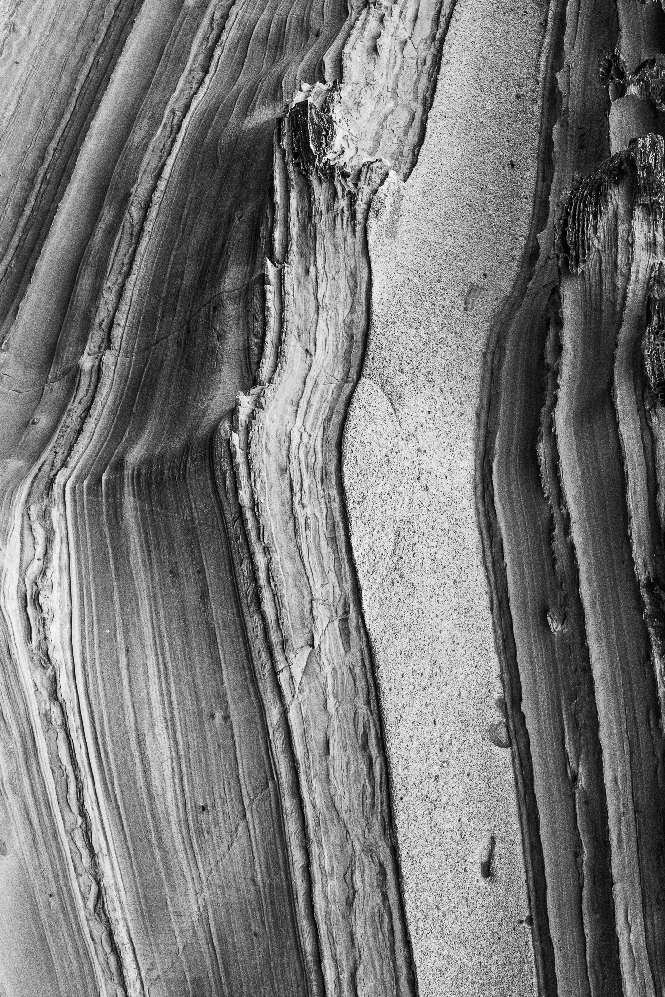 Degrees of Abstraction #3