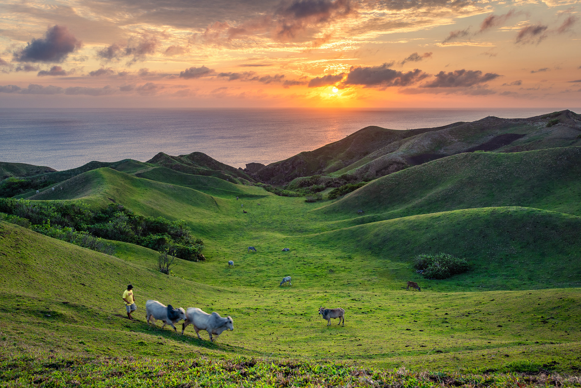 Vayang Rolling Hills