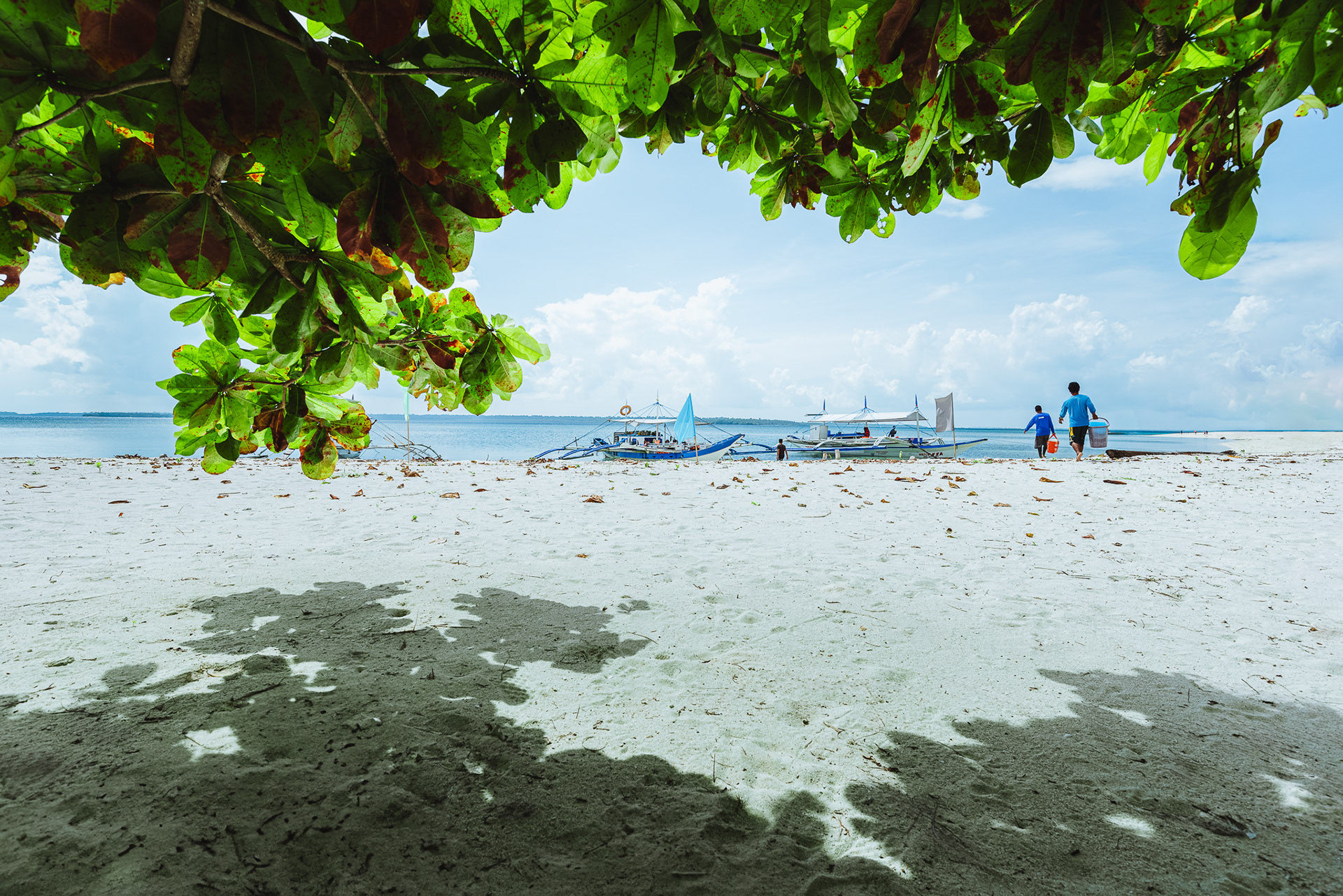 Solace Under The Tree