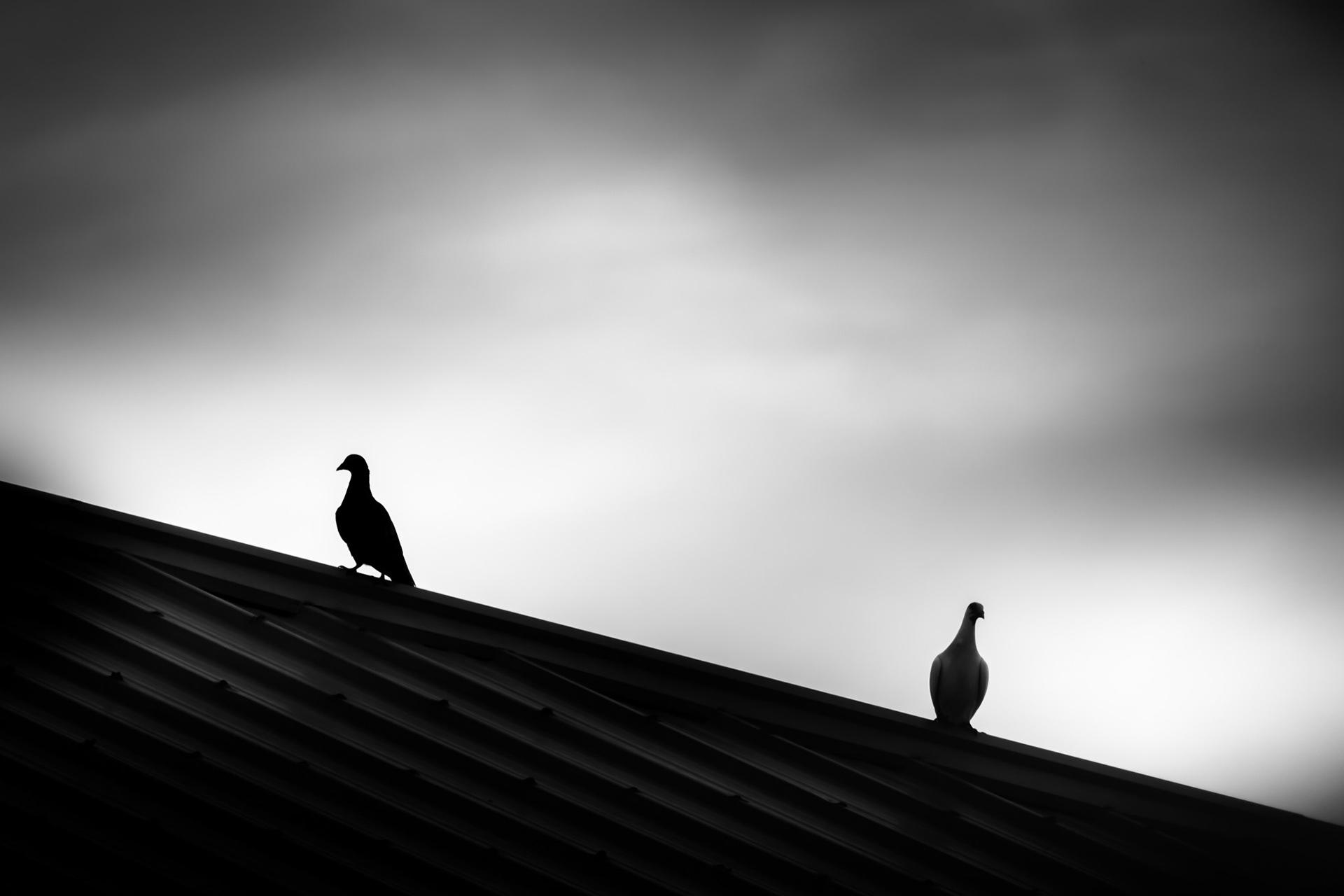 Separate Ways