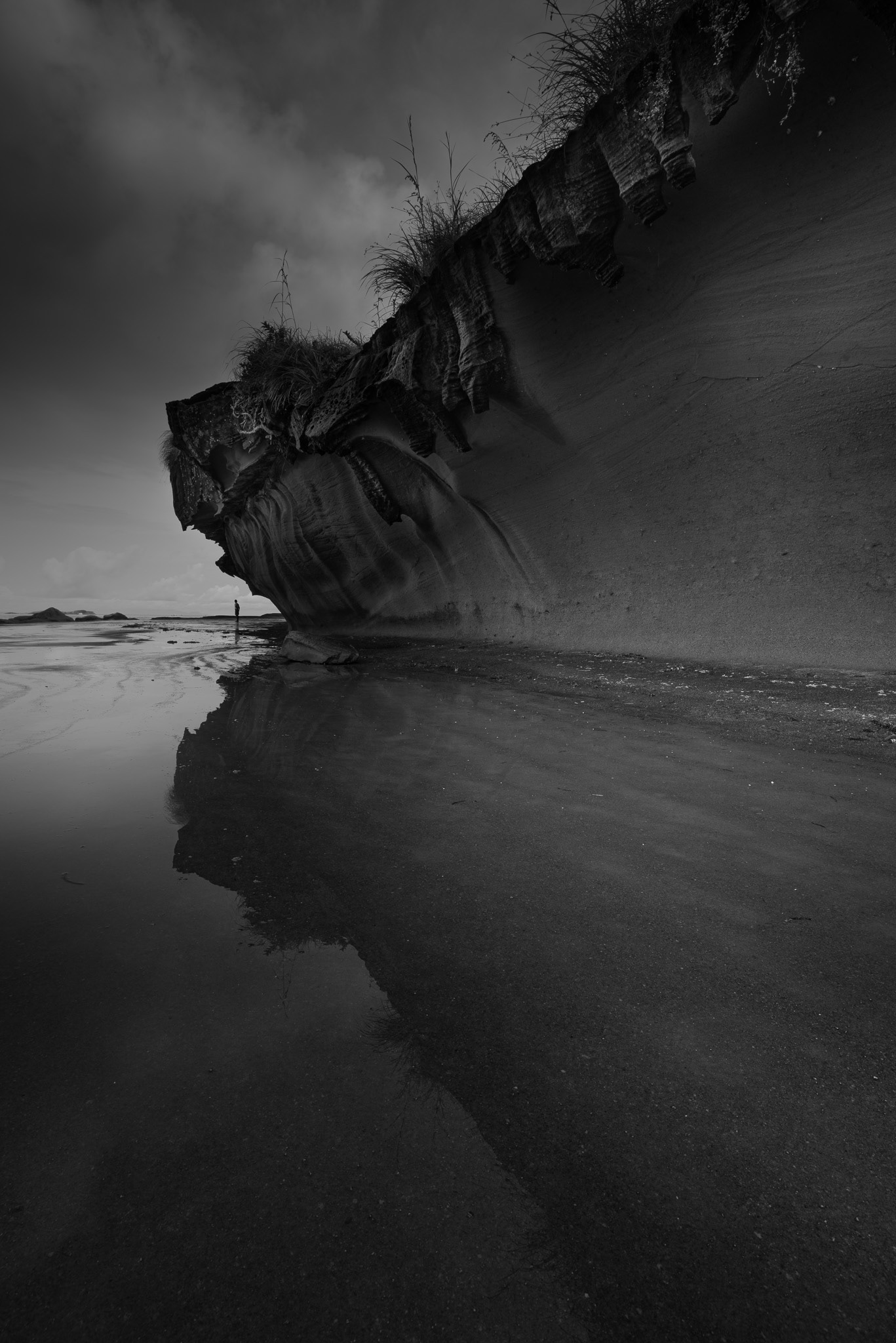 The Dragon's Teeth