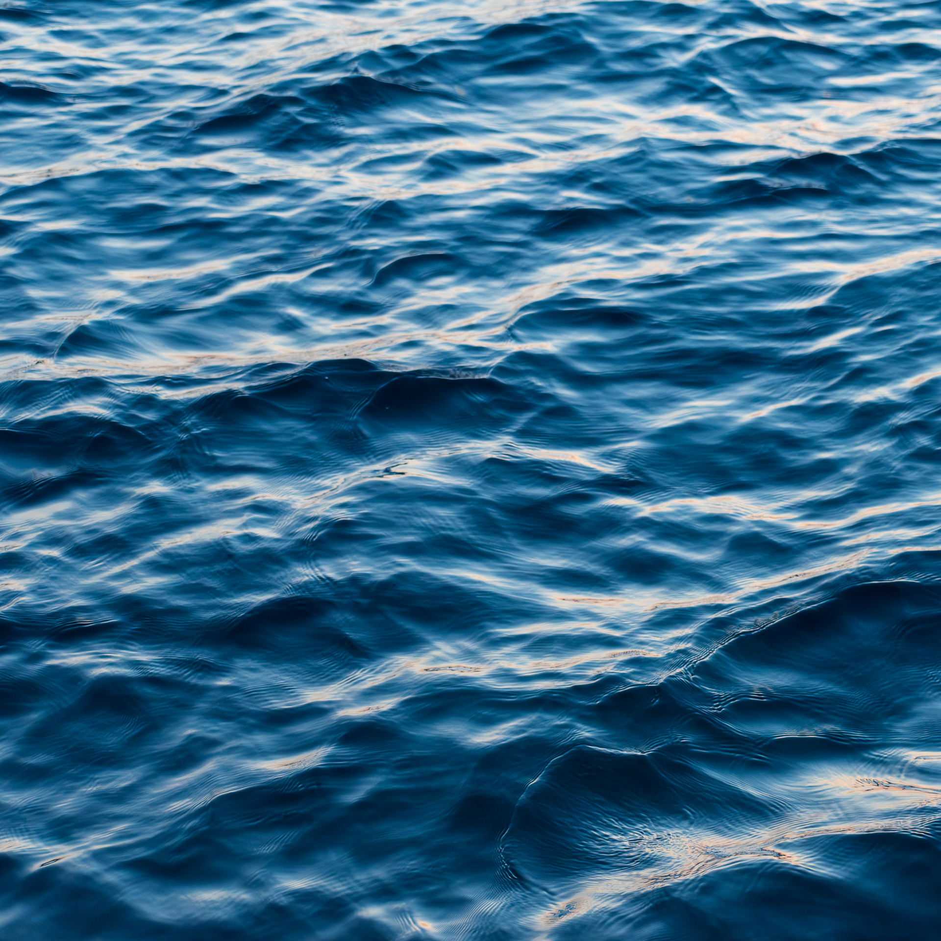 Aquatic Abstractions #1