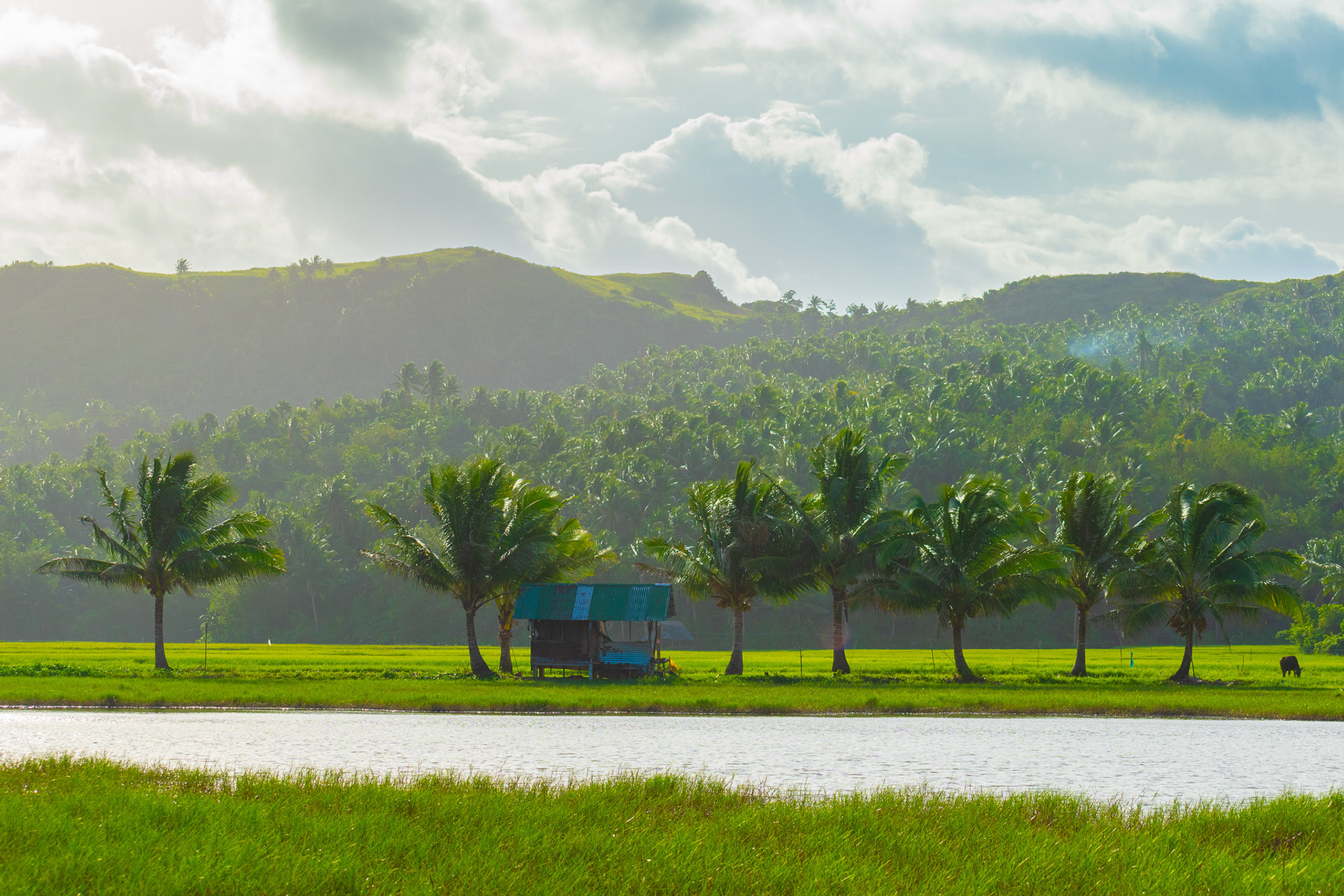 Buhay sa Probinsya #3