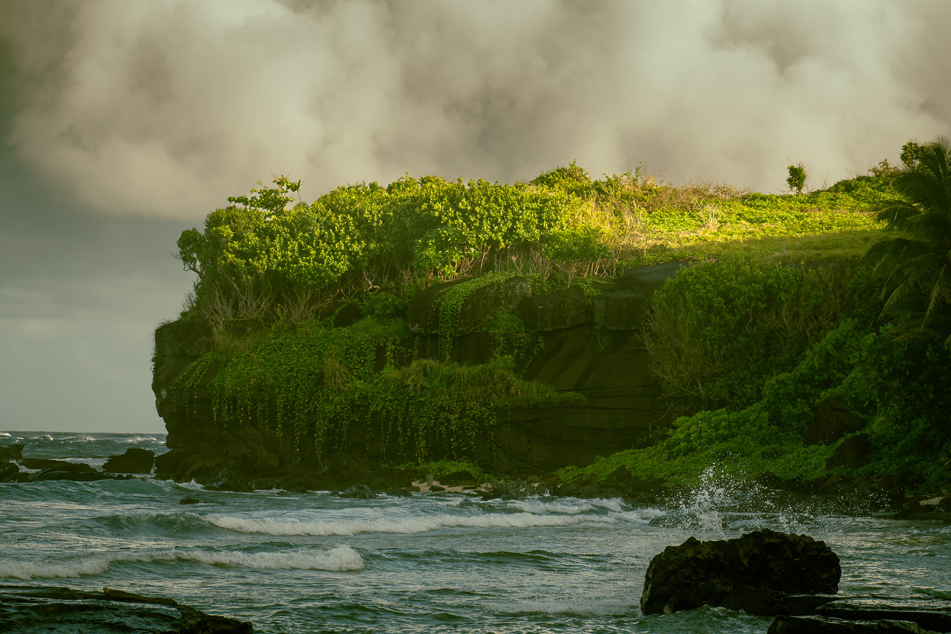 The Struggling Light