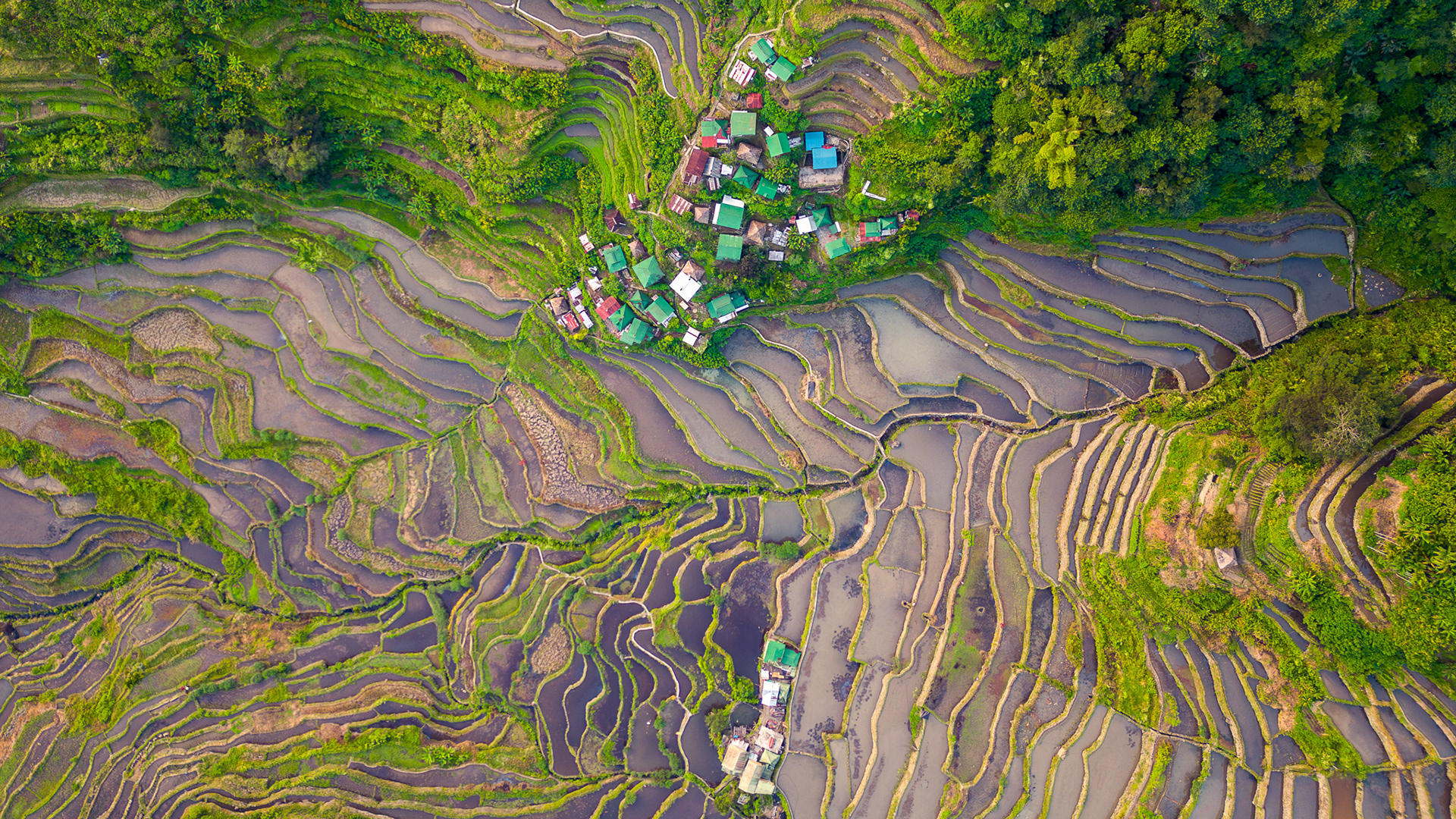 Batad Rice Terraces