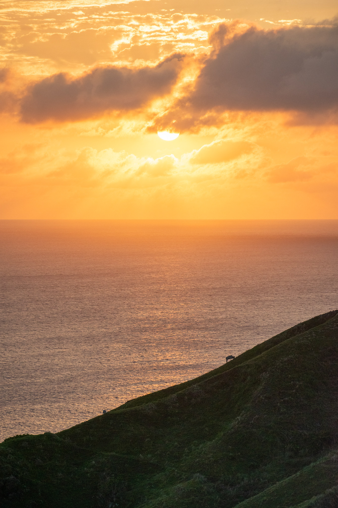 Sunset at Vayang Rolling Hills #1