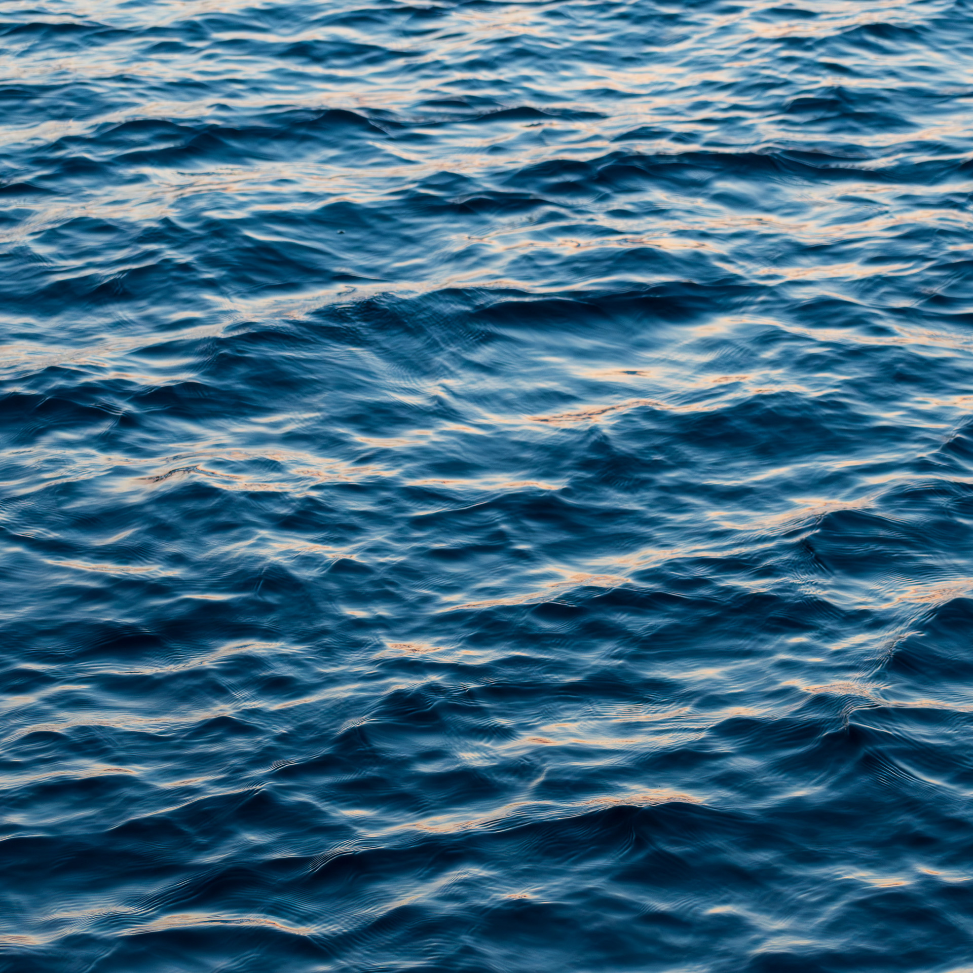 Aquatic Abstractions #6